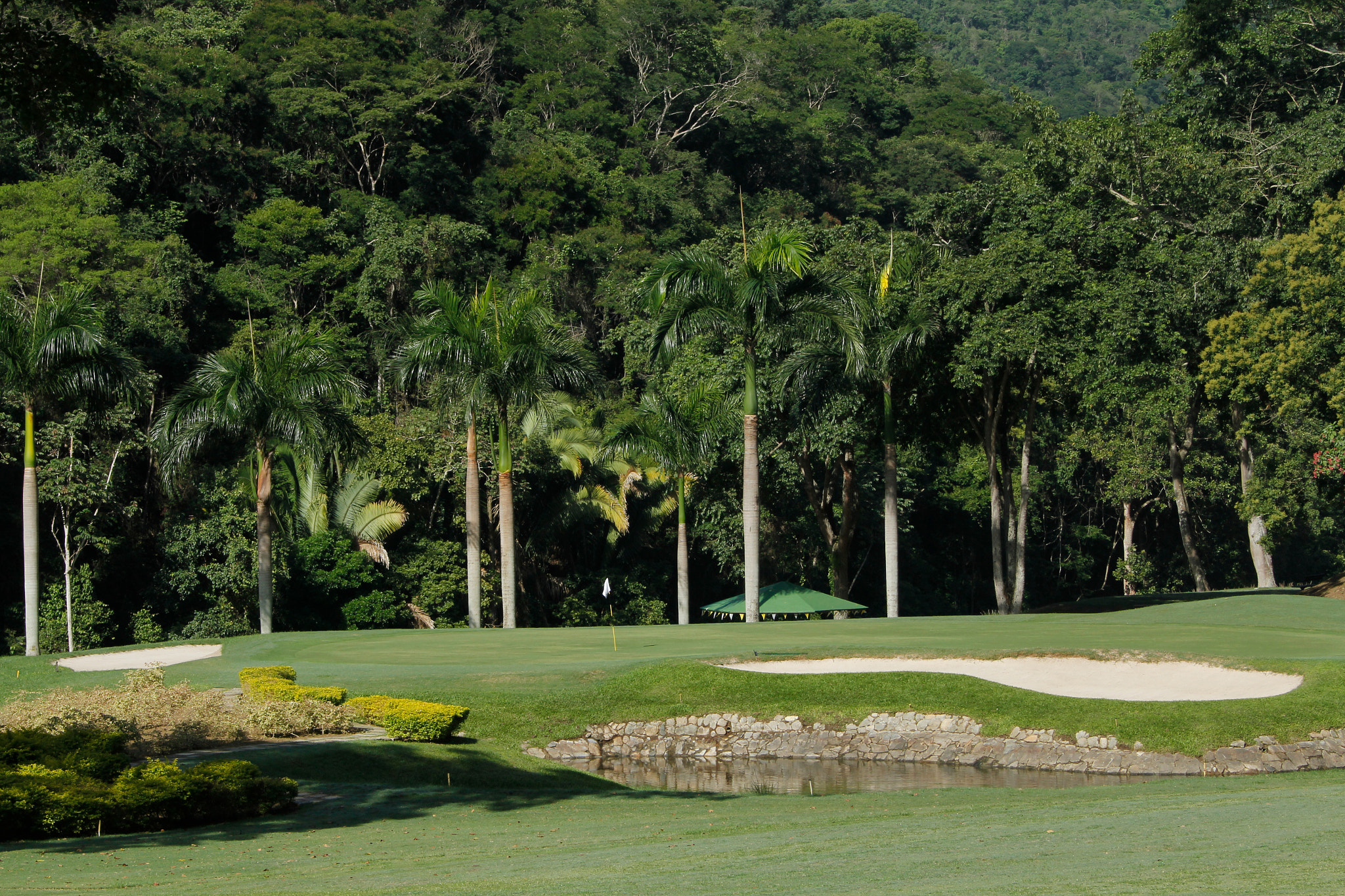 Canon EF 28-300mm F3.5-5.6L IS USM sample photo. Izcaragua country club photography