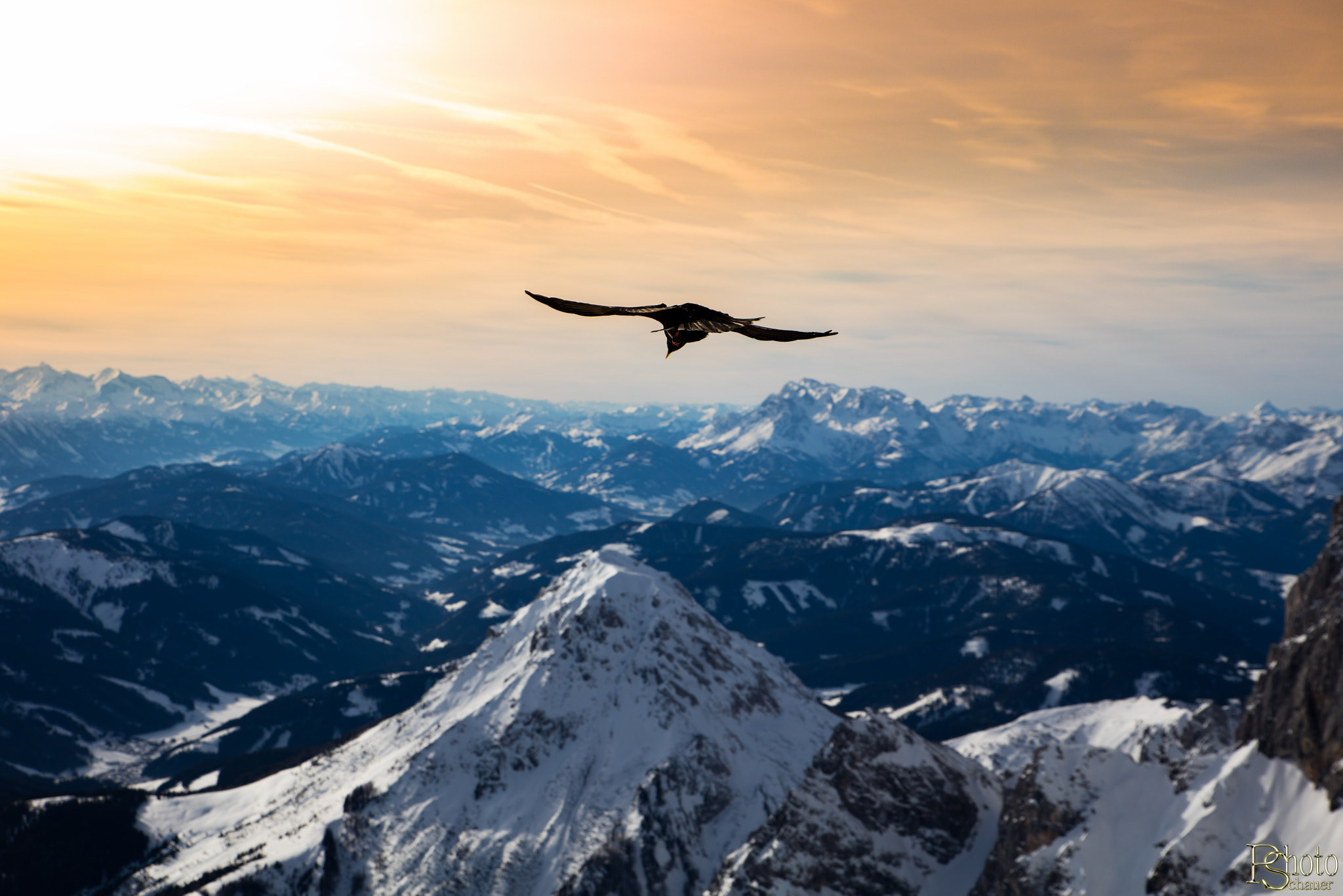 Sigma 24-70mm F2.8 EX DG Macro sample photo. Nature photography