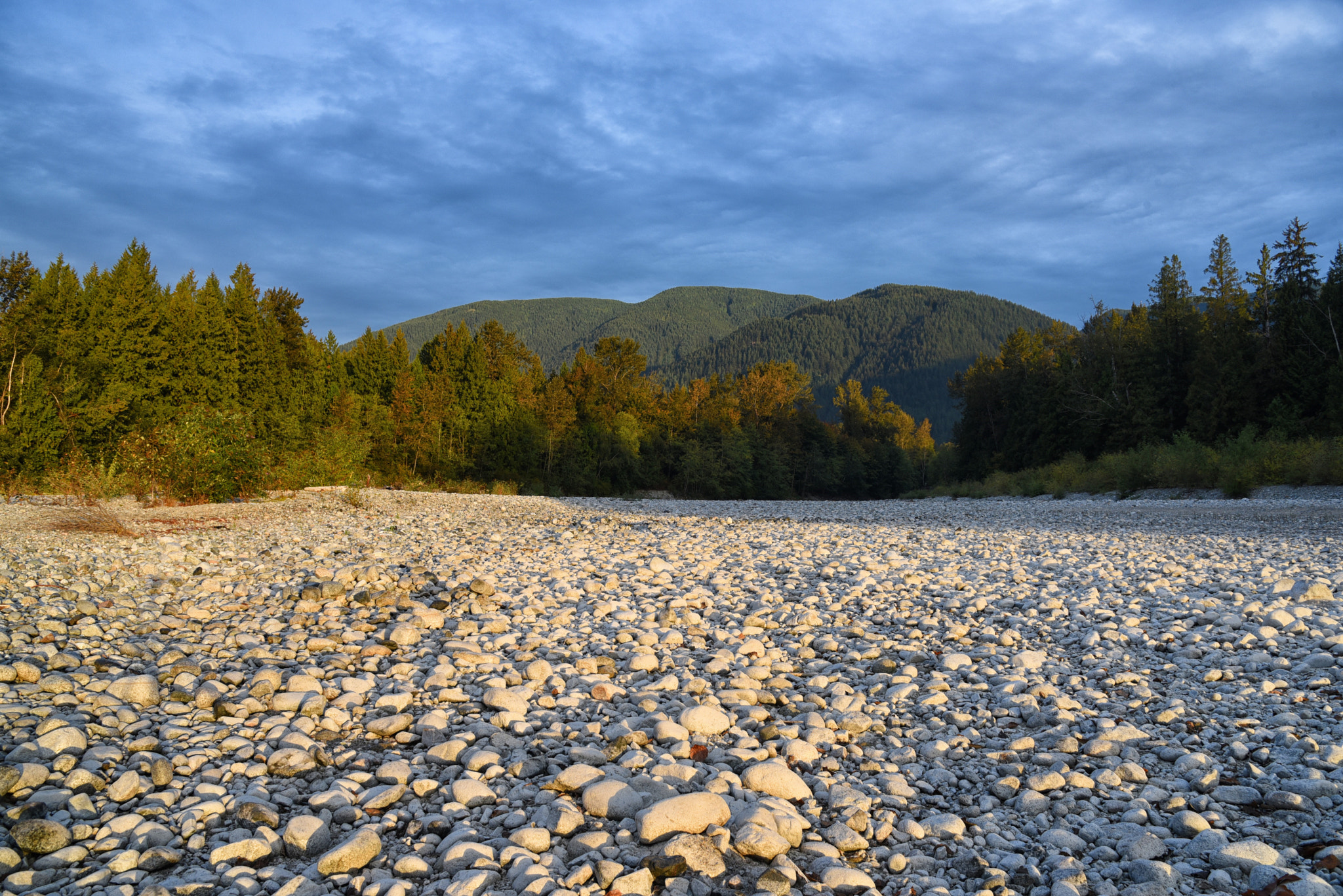 Nikon D750 + Nikon AF-S Nikkor 600mm F4D ED-IF II sample photo. Where is the creek? photography