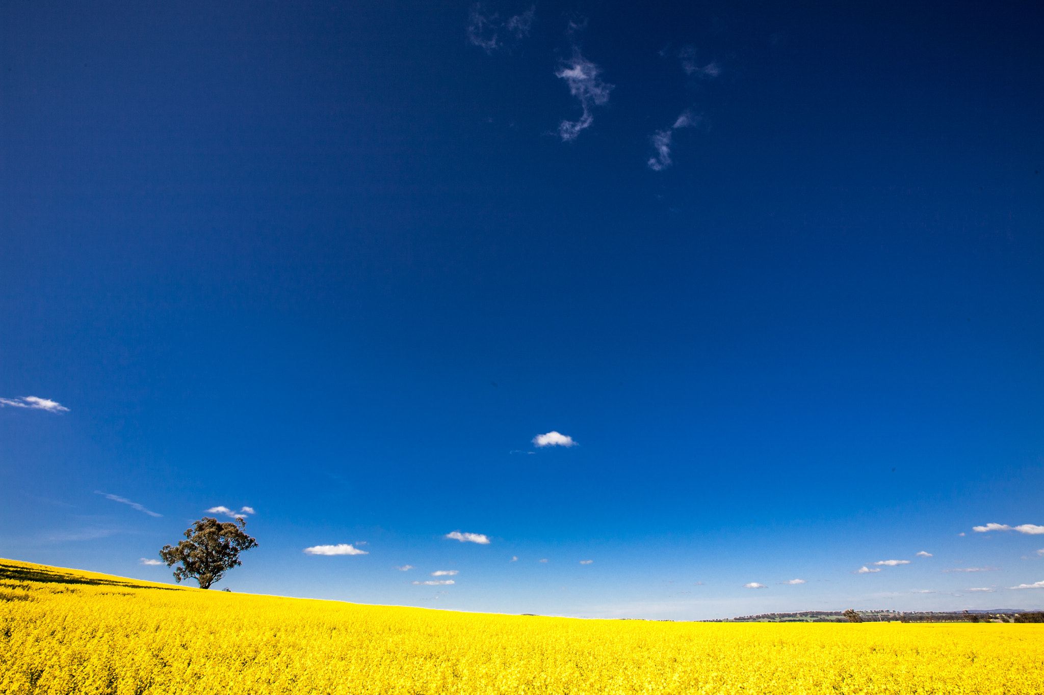 Canon EF 16-35mm F2.8L II USM sample photo. Blue sky country photography