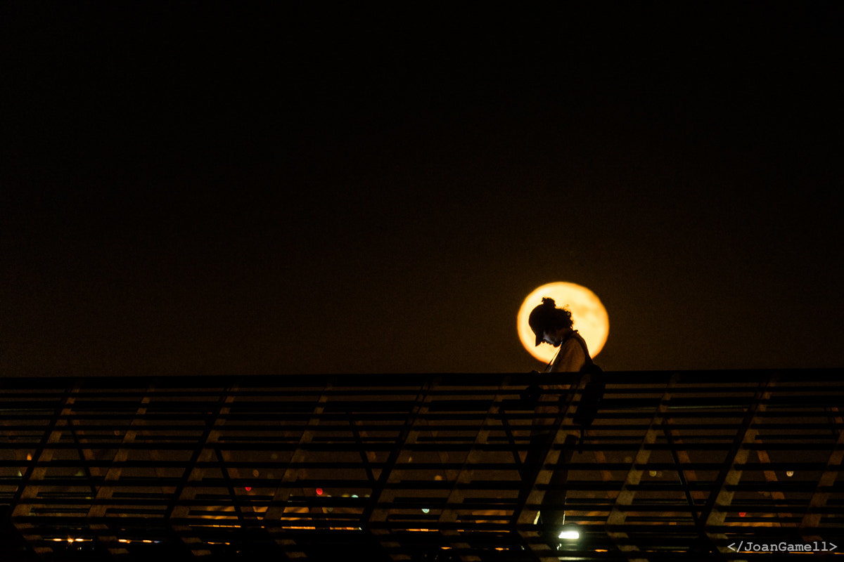 Sony a7R II + Canon EF 70-300mm F4-5.6L IS USM sample photo. Harvest moon silhouette photography
