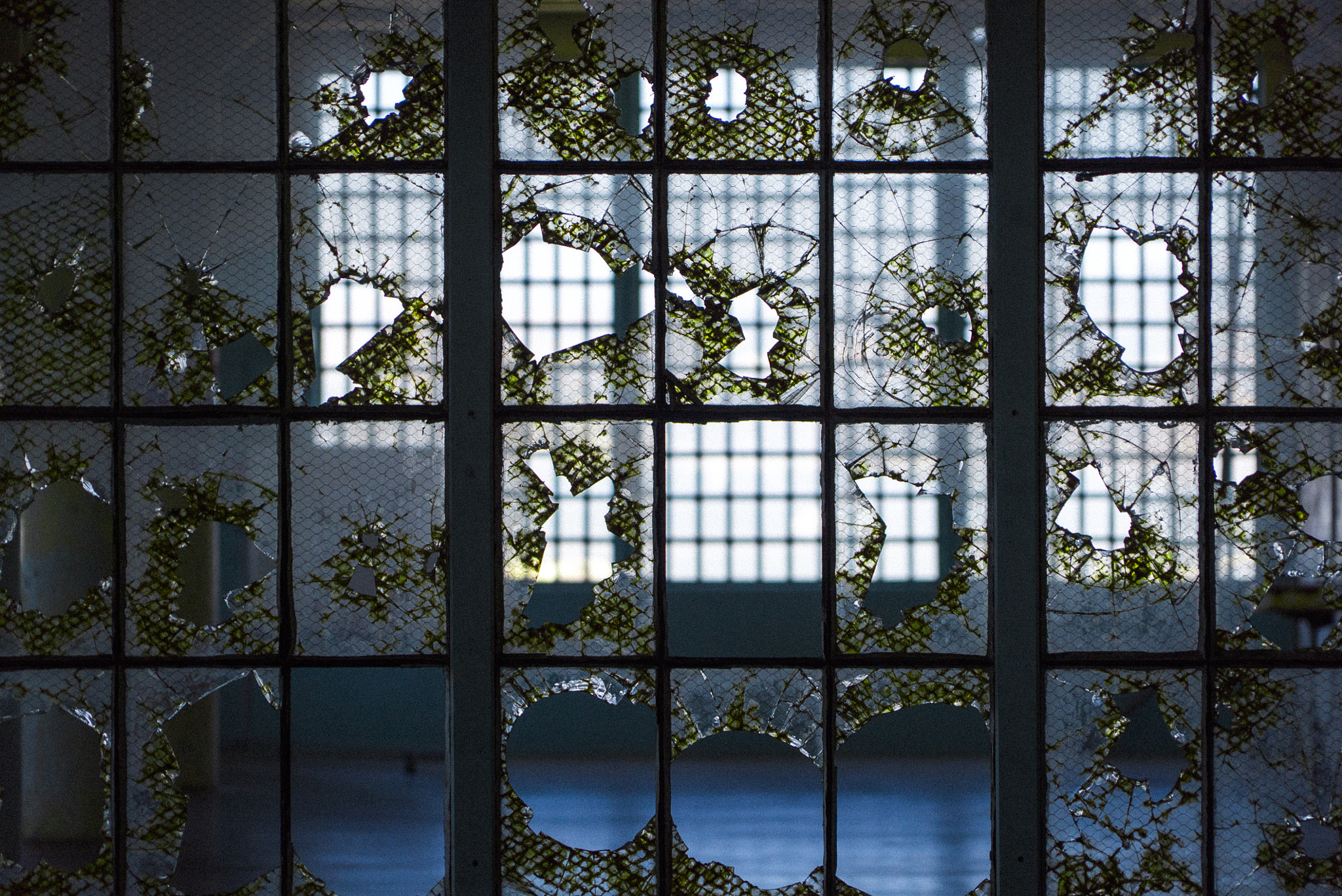 Sony a7S sample photo. Alcatraz island. prison photography