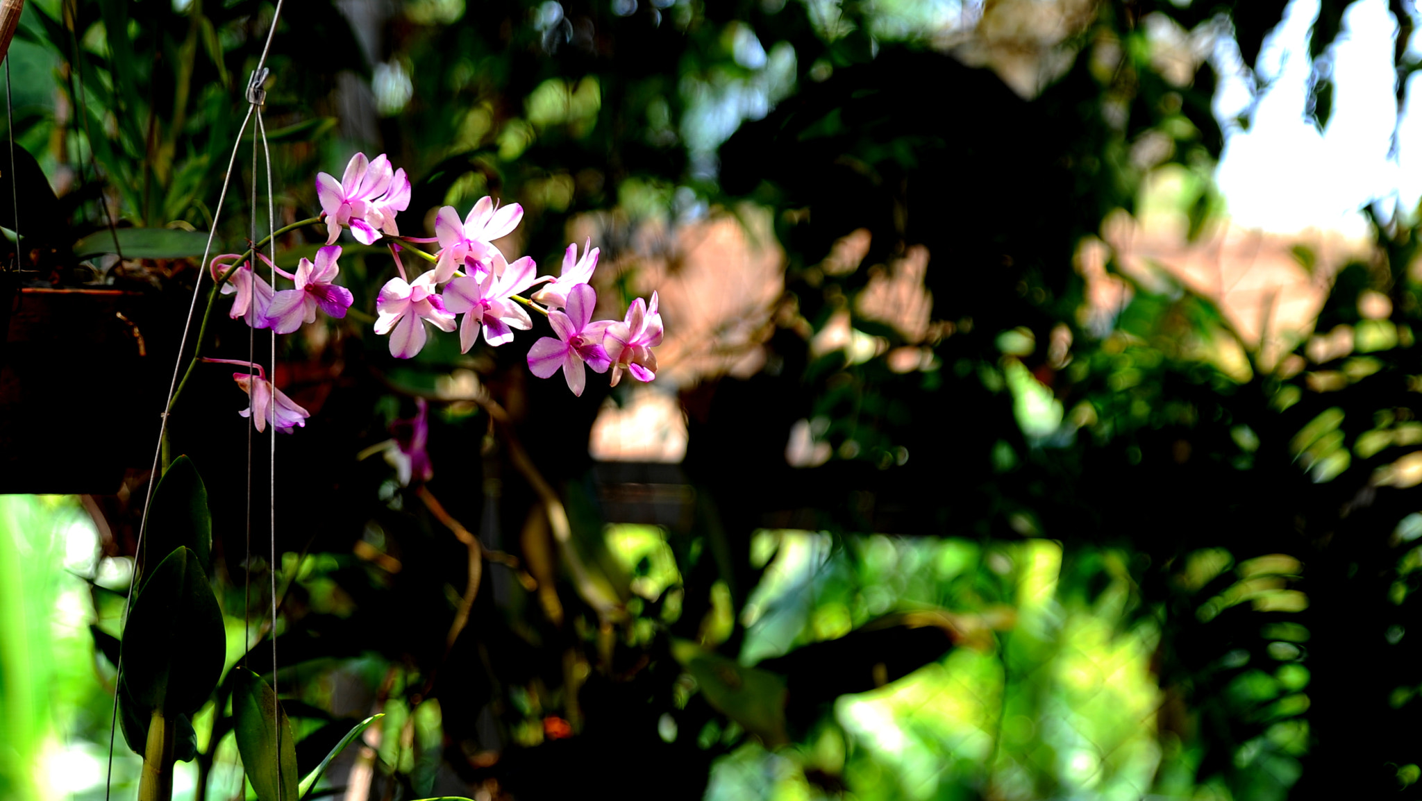 Nikon D3 sample photo. Dsc photography