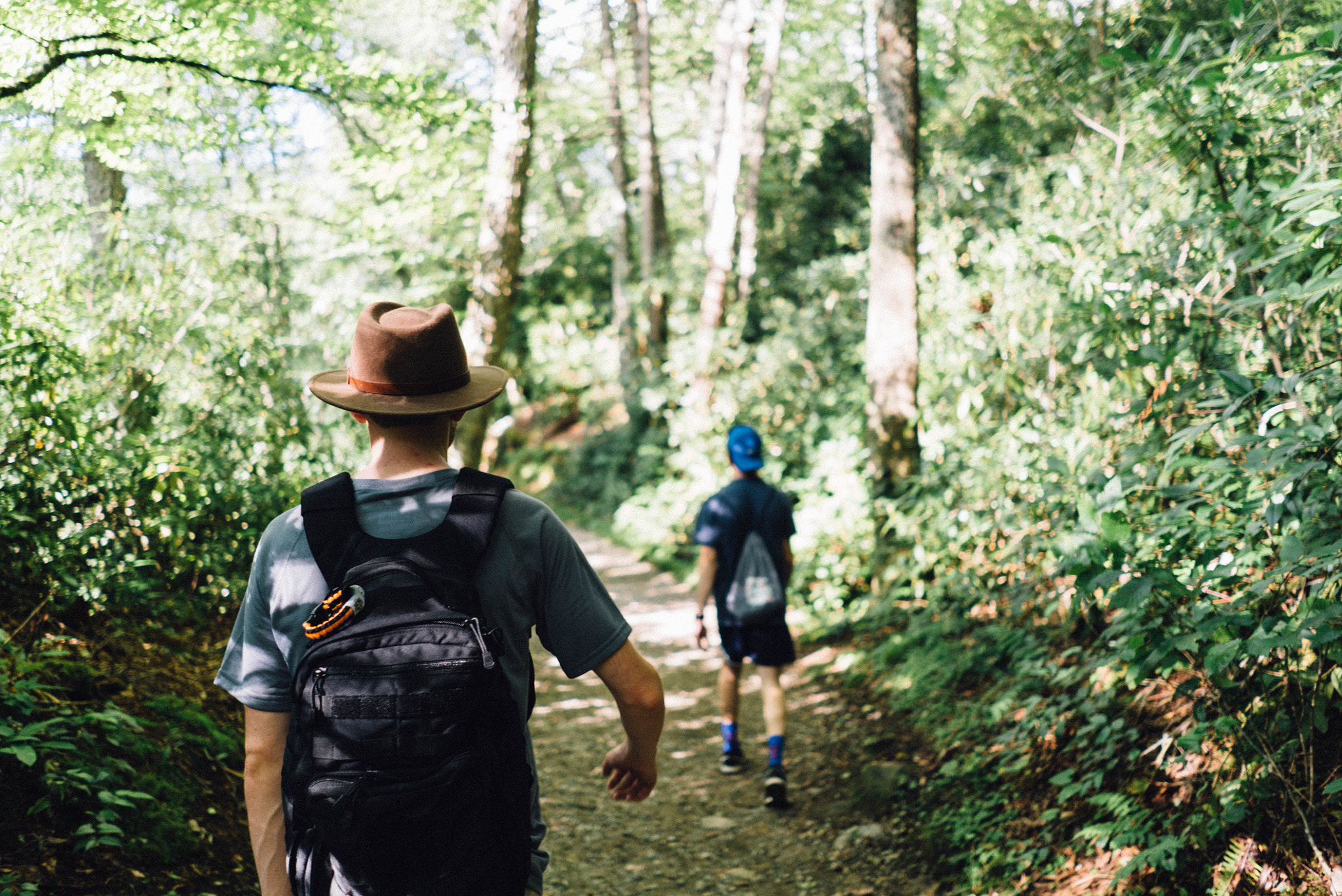 Sony FE 28mm F2 sample photo. A hike in the park photography
