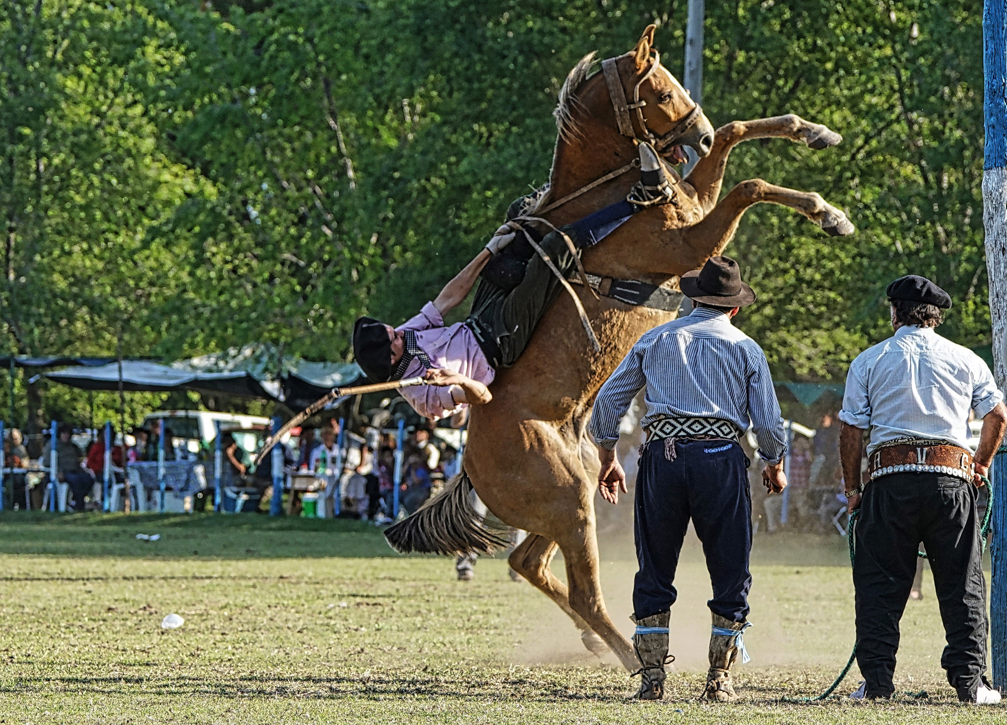 Sony 70-400mm F4-5.6 G SSM II sample photo
