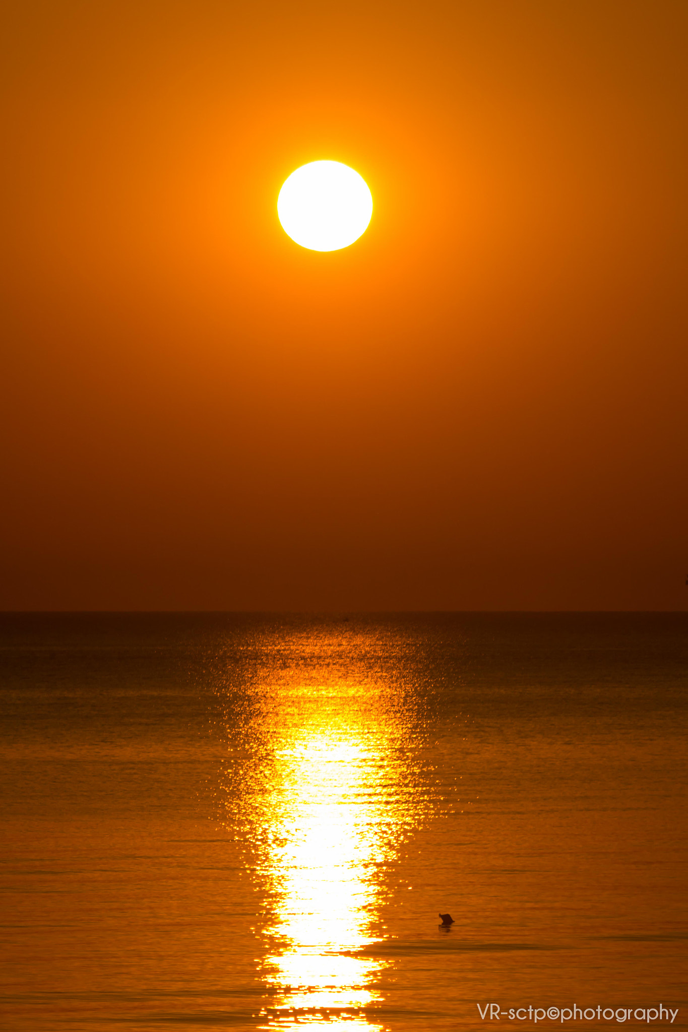 Canon EF-S 55-250mm F4-5.6 IS sample photo
