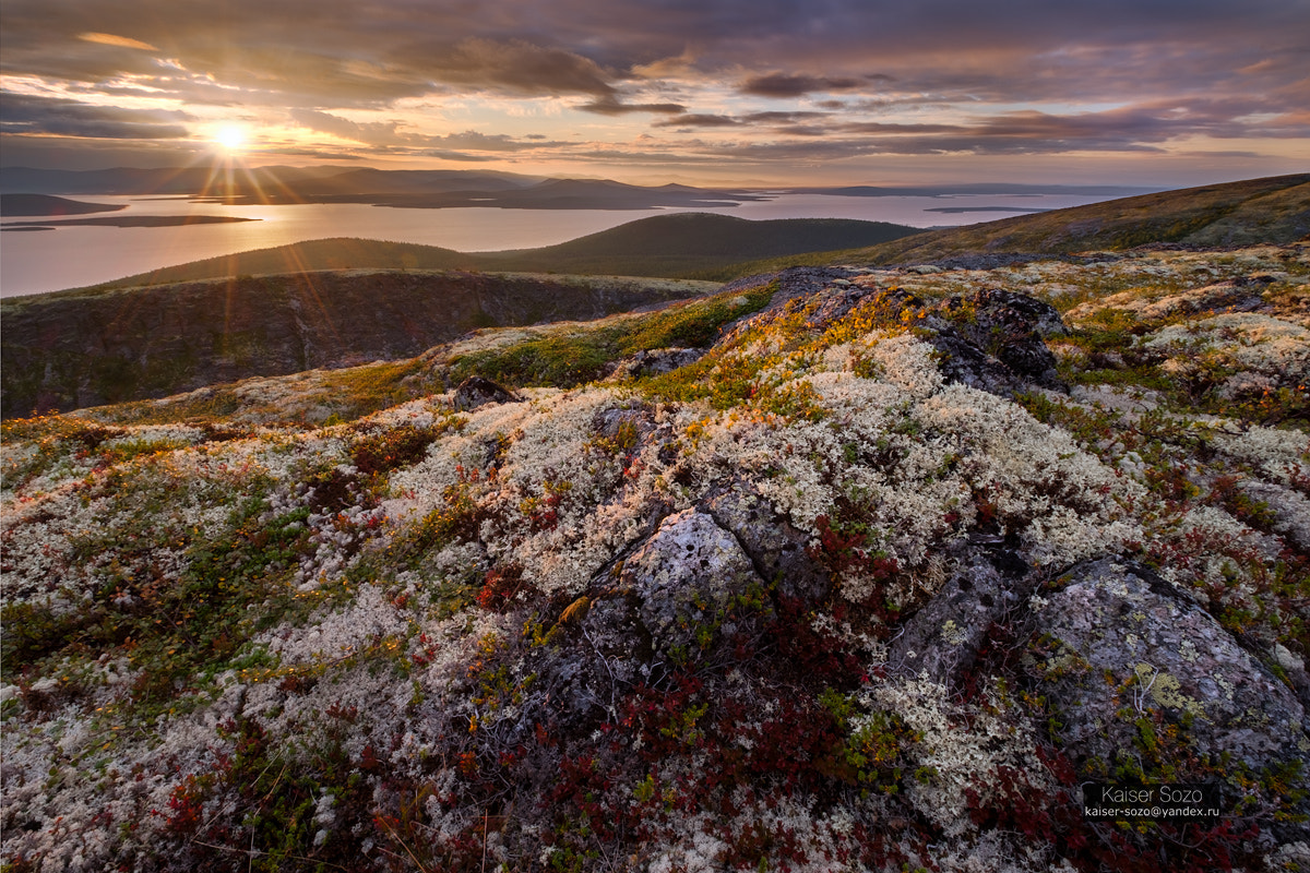 Fujifilm XF 10-24mm F4 R OIS sample photo. Plants of mountain tundra in autumn colors photography