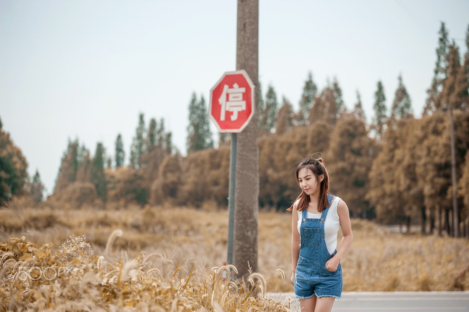 Nikon AF-S Nikkor 70-200mm F4G ED VR sample photo. 漫步秋意 photography