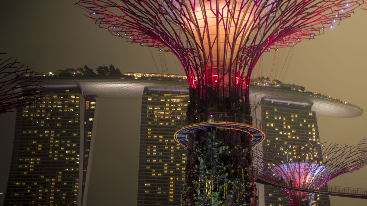 Olympus OM-D E-M5 II + Panasonic Leica DG Summilux 25mm F1.4 II ASPH sample photo. Singapore gardens by the bay photography