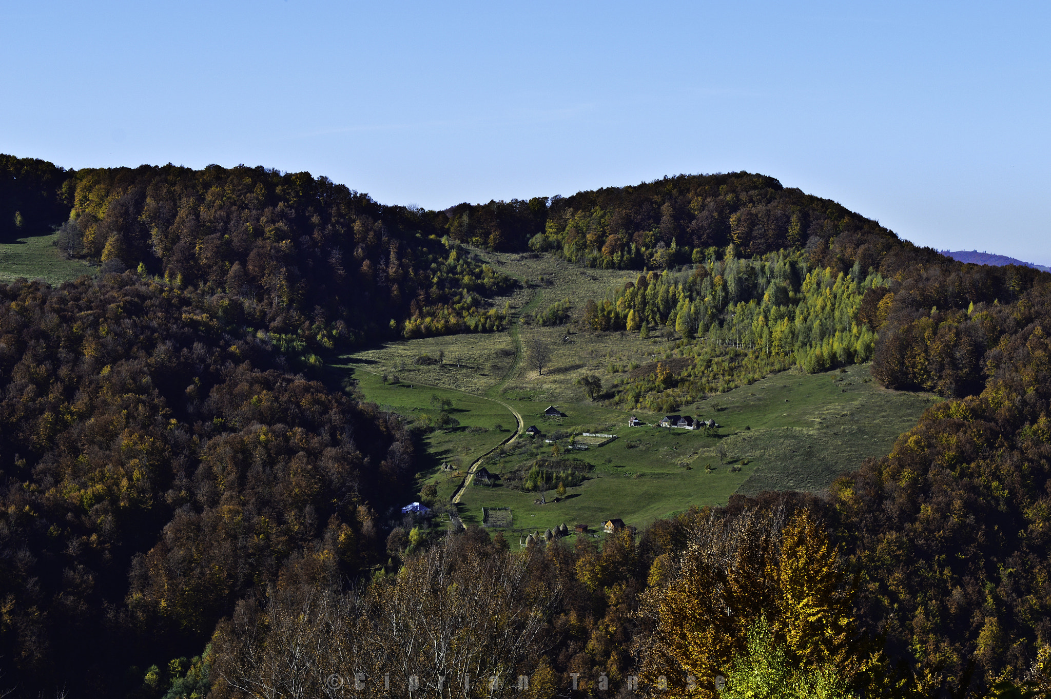 Nikon D3200 + Nikkor 45mm f/2.8 P sample photo. Autumn colours photography