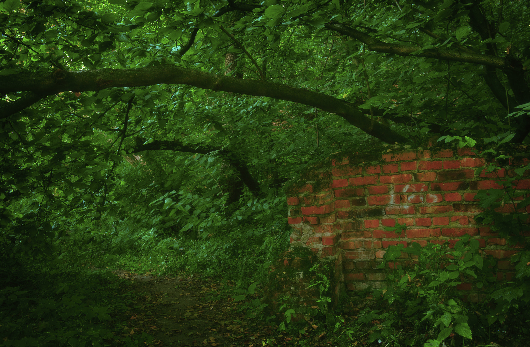 24-70mm F/2.8 G sample photo. Everything passes... photography