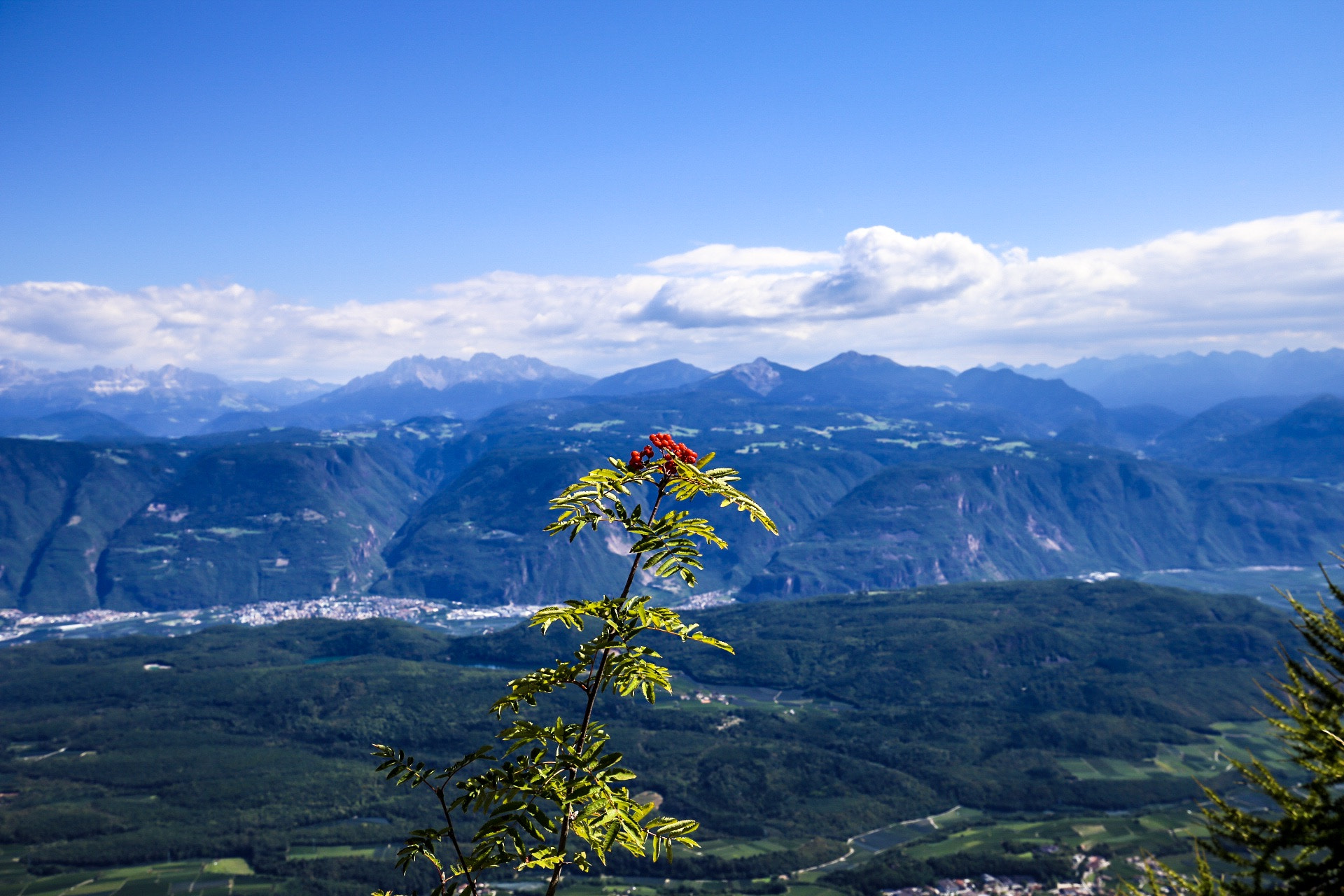 Canon EF 16-35mm F4L IS USM sample photo. Up the sky photography
