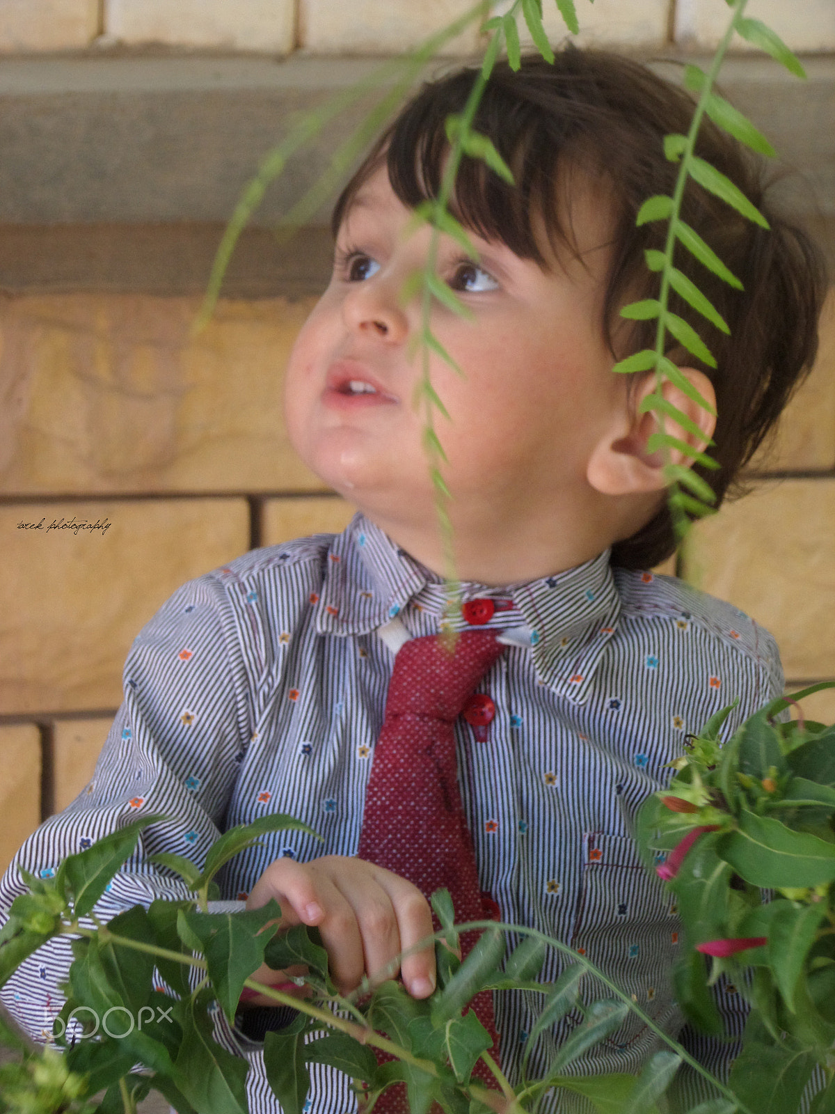 Samsung WB30F/WB31F/WB32F sample photo. Taim photography
