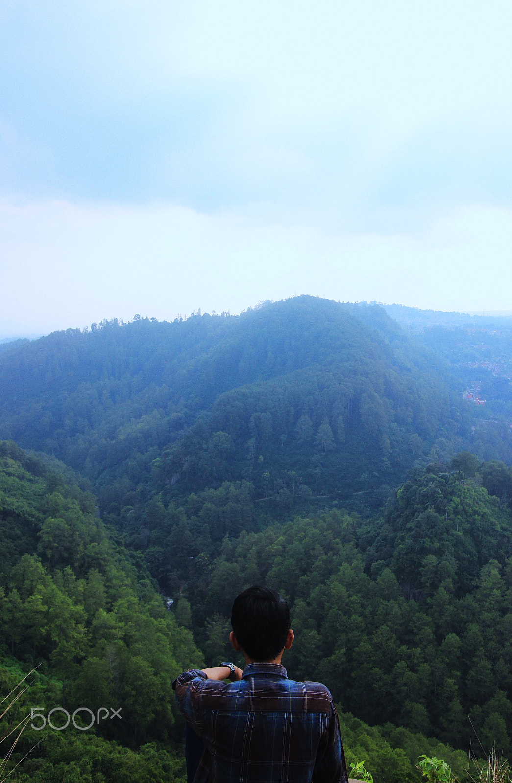 Canon EOS 600D (Rebel EOS T3i / EOS Kiss X5) sample photo. Pines and silence photography