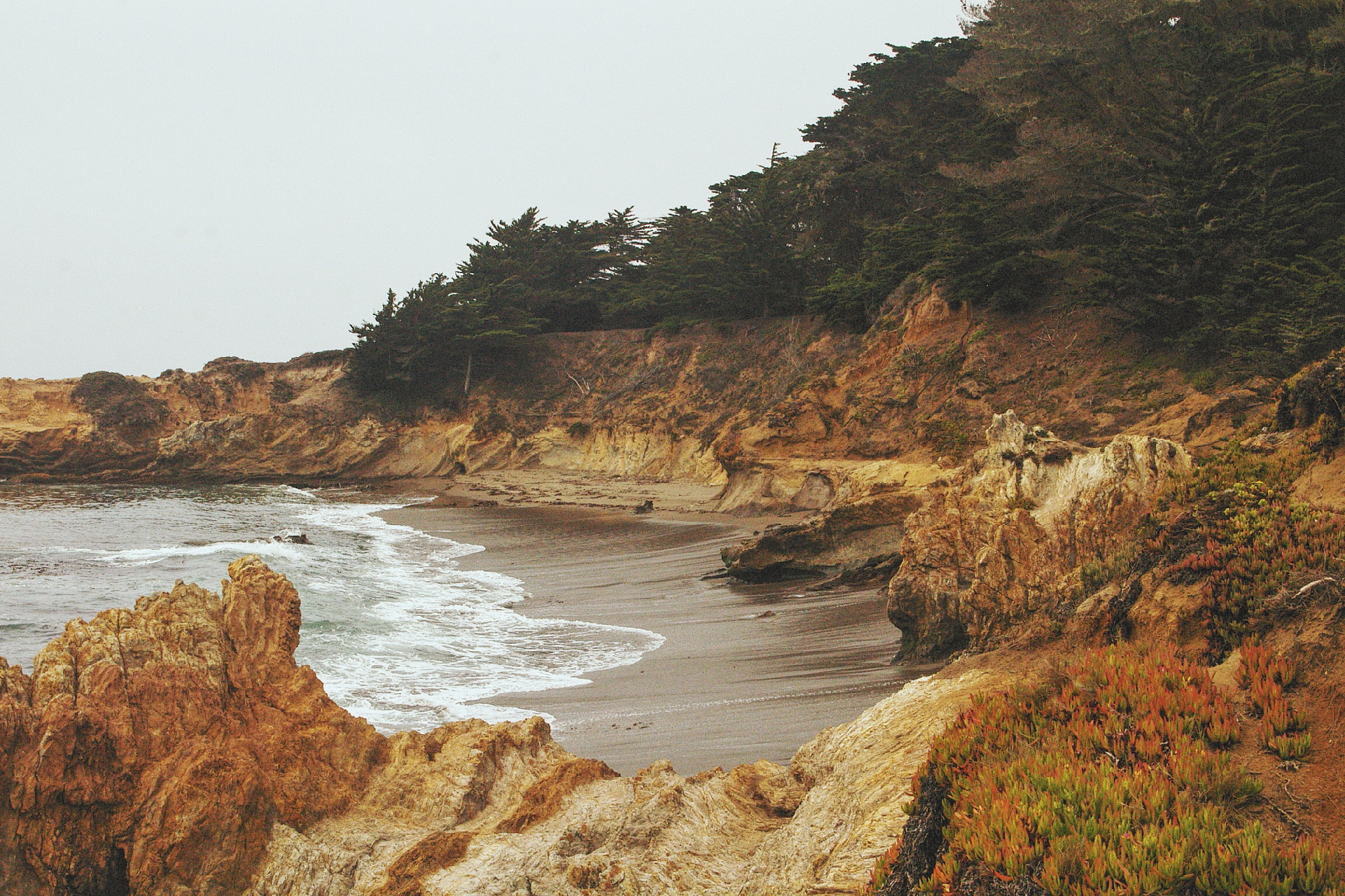 Pentax *ist D sample photo. San simeon cove, hearst san simeon state park, hwy 1, california photography