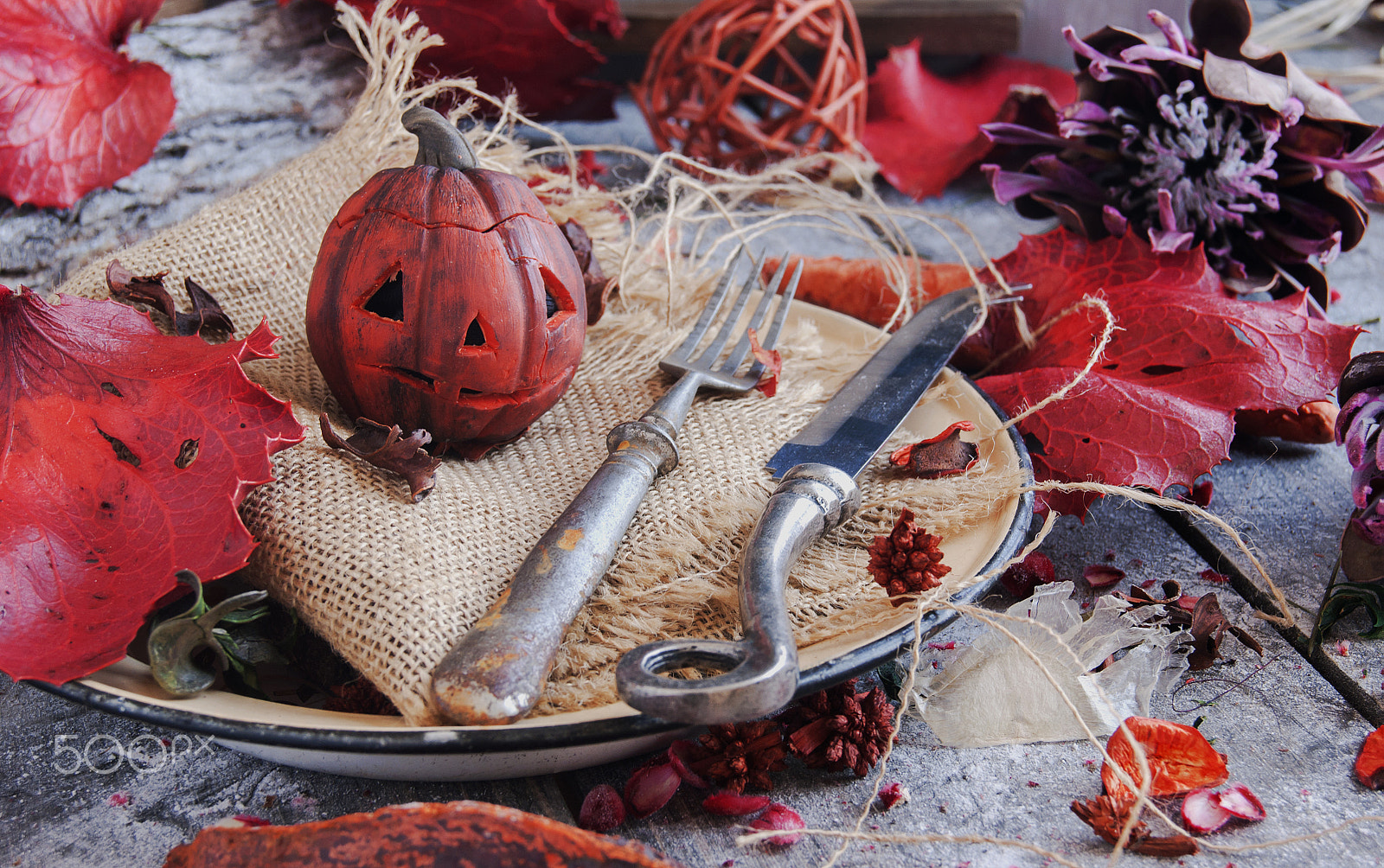 Sony Alpha DSLR-A380 sample photo. Decorative pumpkin for halloween with dried flowers photography