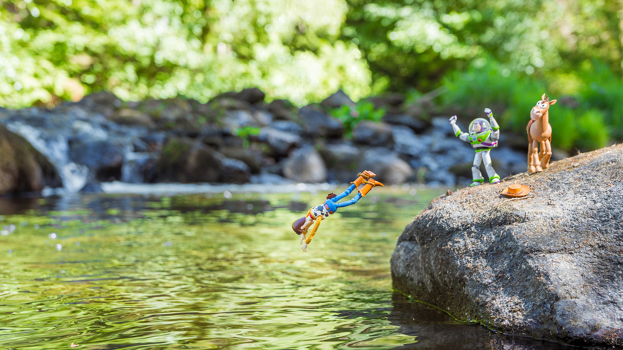 Sony a7S sample photo. Dive ! photography