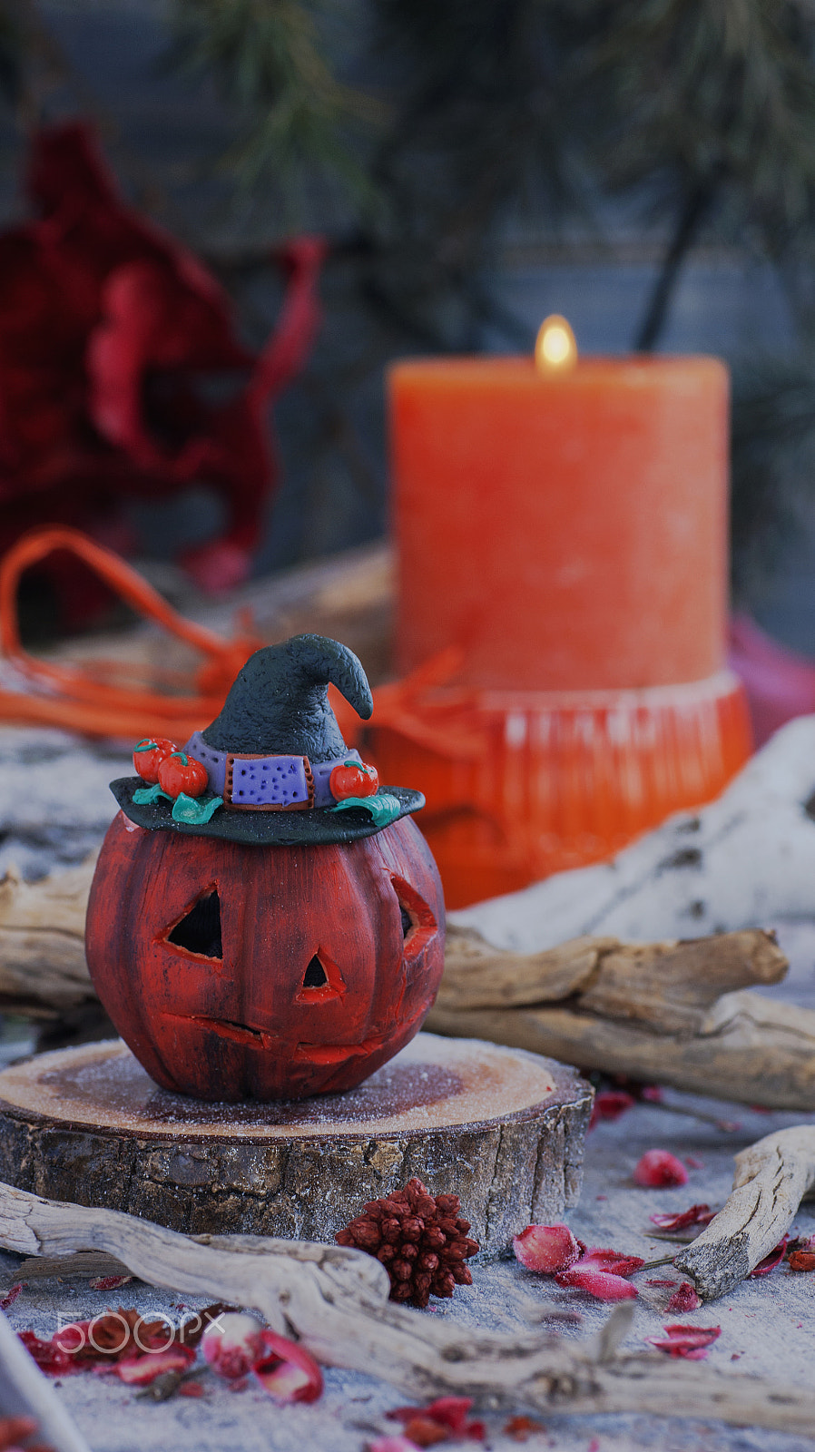 Sony Alpha DSLR-A380 sample photo. Decorative pumpkin for halloween with dried flowers photography