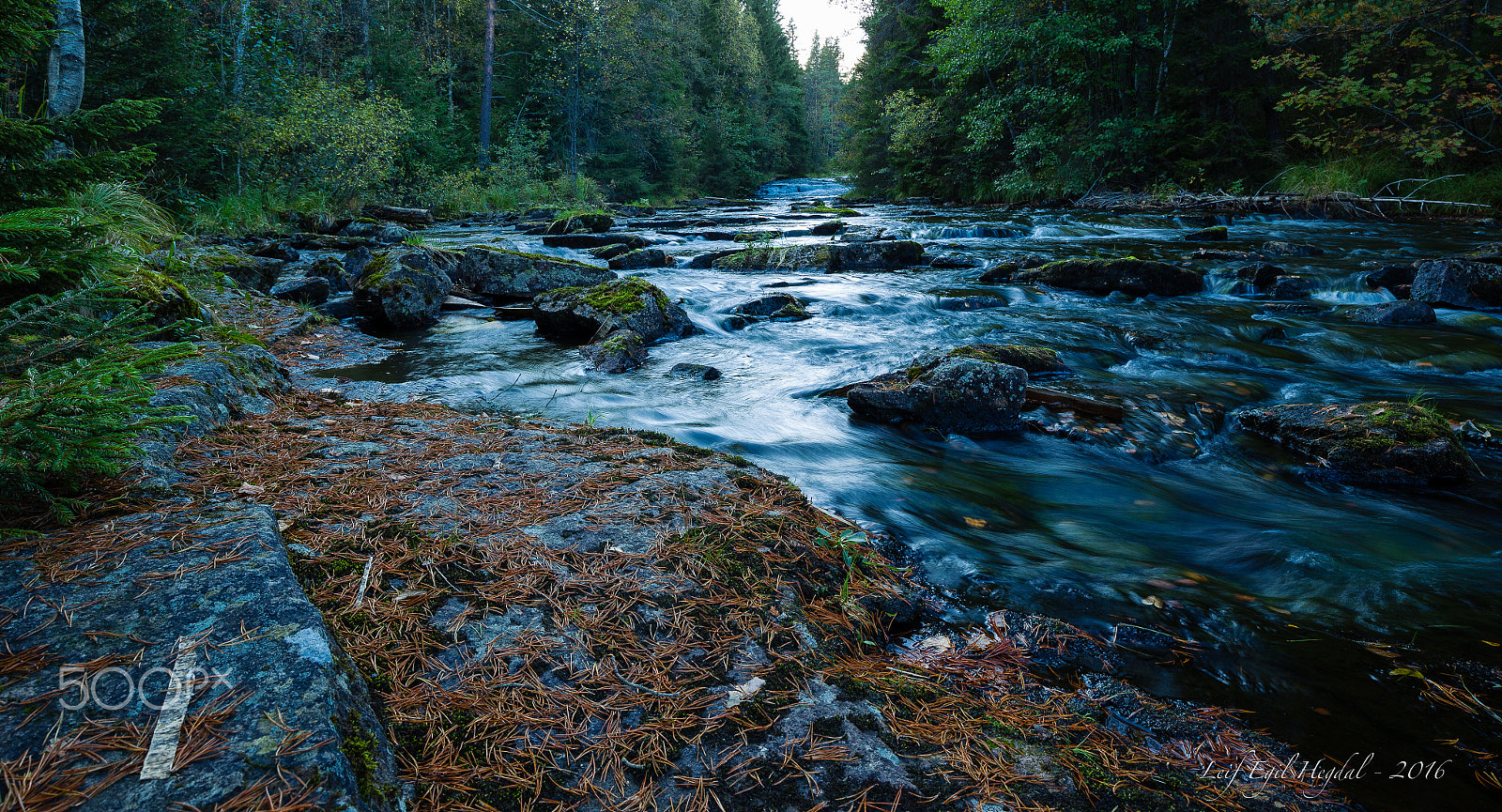 Canon EF 16-35mm F4L IS USM sample photo. The stream photography