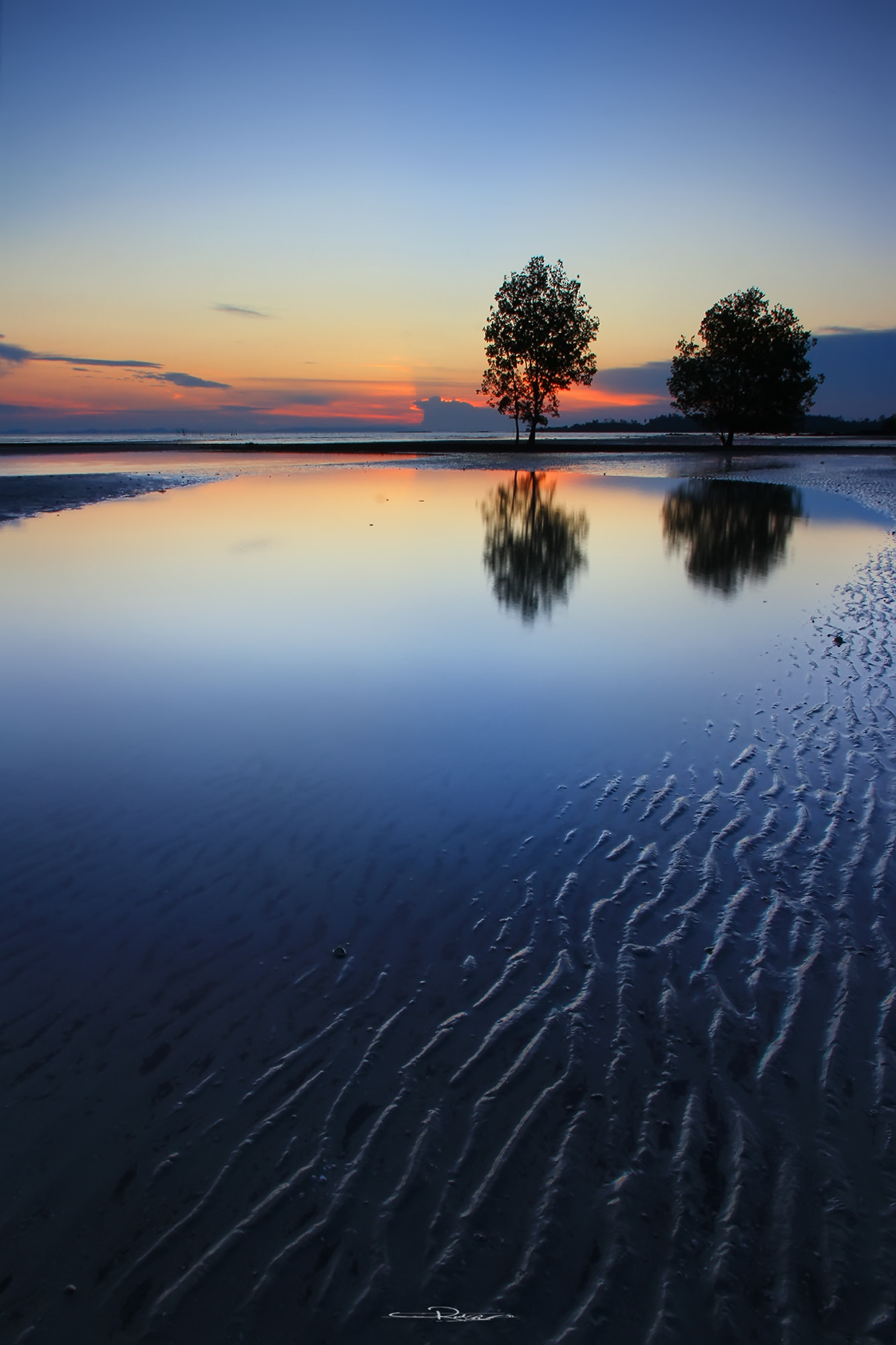 Canon EOS M sample photo. Silent tree photography