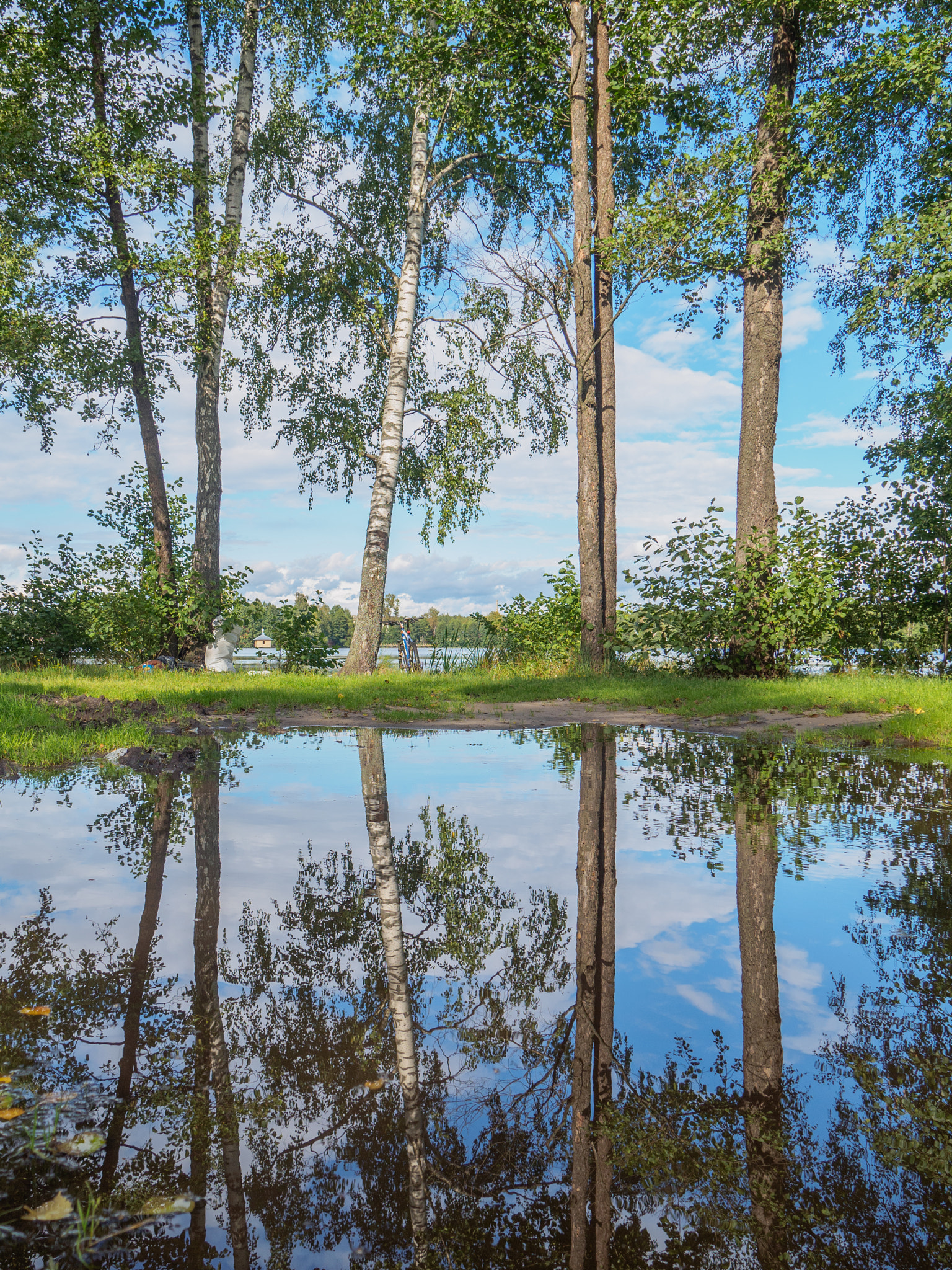 LUMIX G VARIO 14-42/F3.5-5.6 II sample photo. Early autumn reflection photography