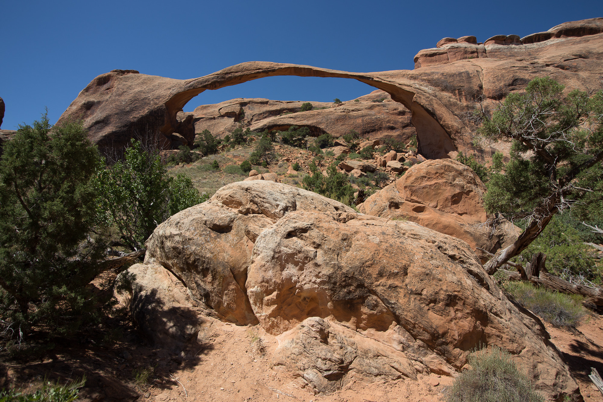 Canon EOS 6D + Sigma 15-30mm f/3.5-4.5 EX DG Aspherical sample photo. Landscape arche in arches national park photography