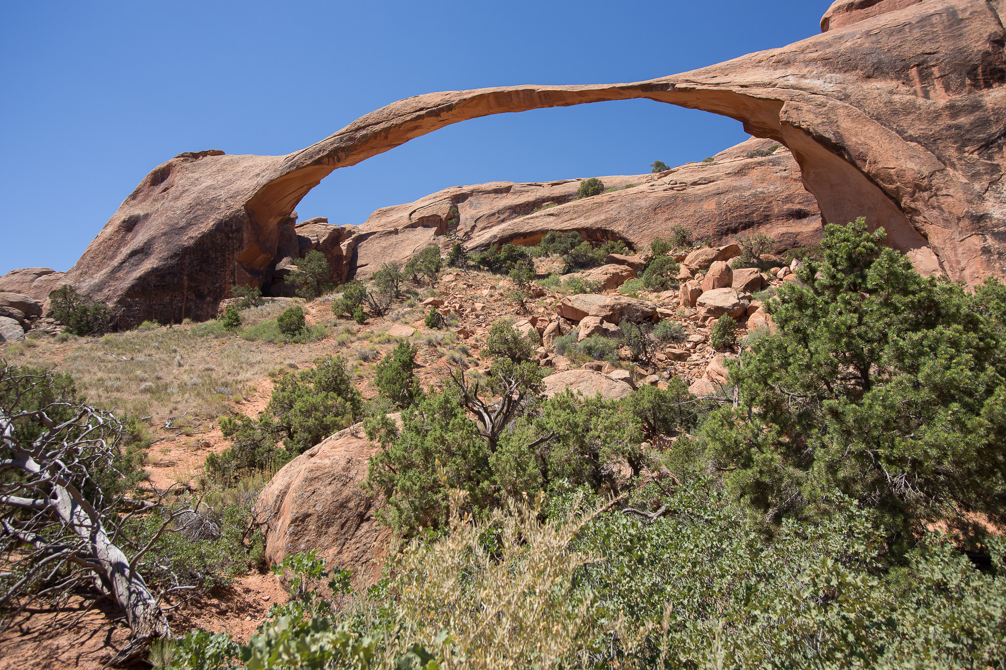 Canon EOS 6D + Sigma 15-30mm f/3.5-4.5 EX DG Aspherical sample photo. Landscape arch 2 photography