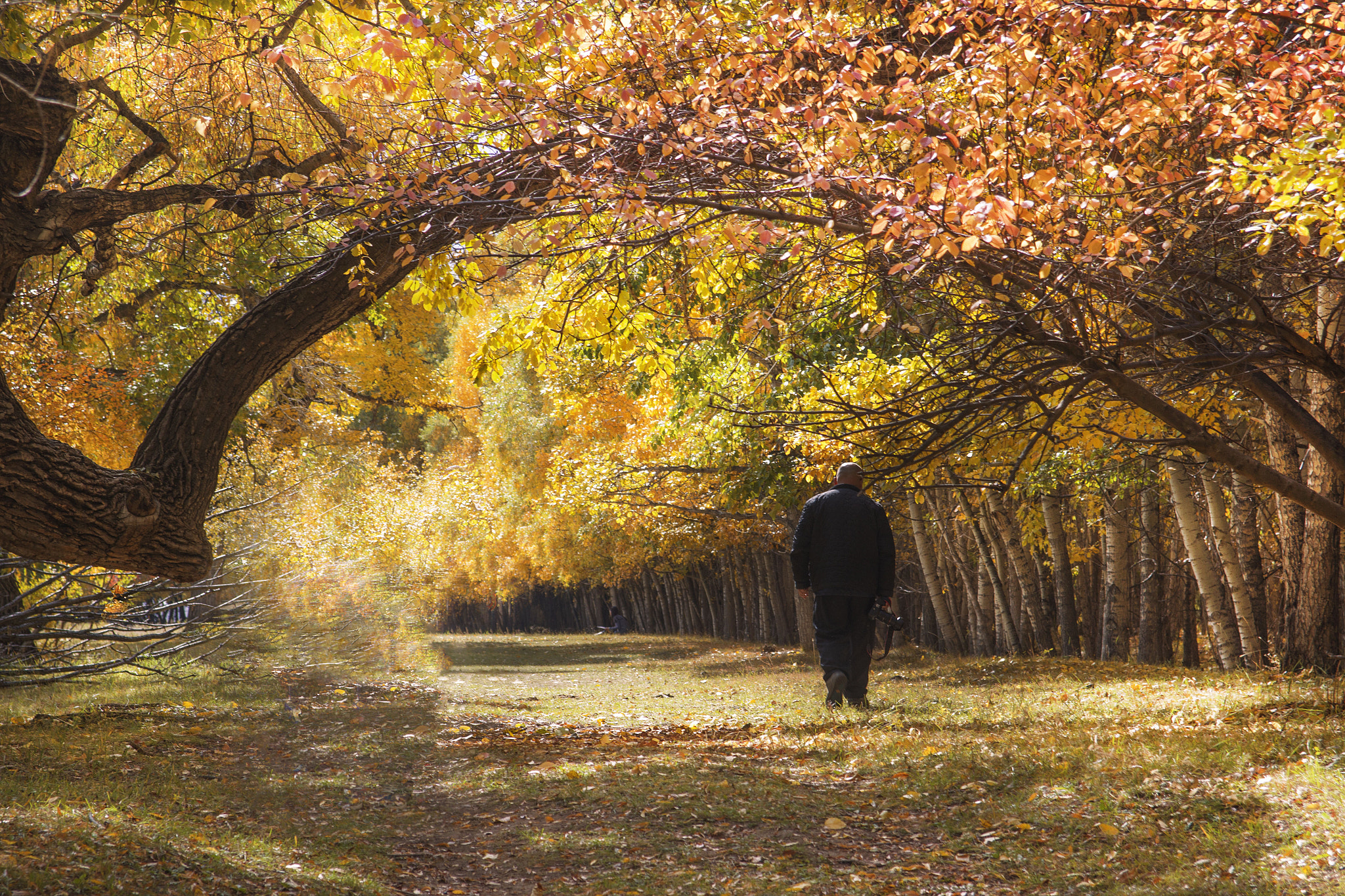 Canon EF 24-85mm F3.5-4.5 USM sample photo. Doogii photography