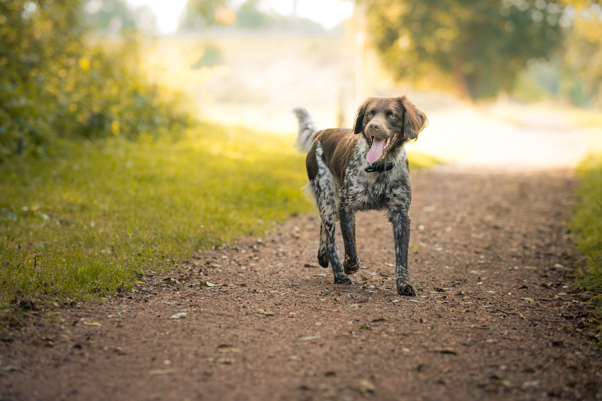 Nikon D7200 + Sigma 50-100mm F1.8 DC HSM Art sample photo. Quincy aasee bocholt photography