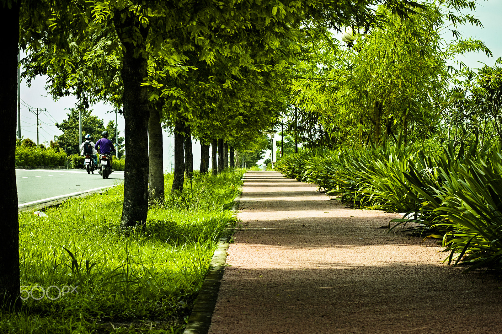 Nikon D70s + AF Zoom-Nikkor 35-70mm f/3.3-4.5 sample photo. Green way with long shadow cast photography