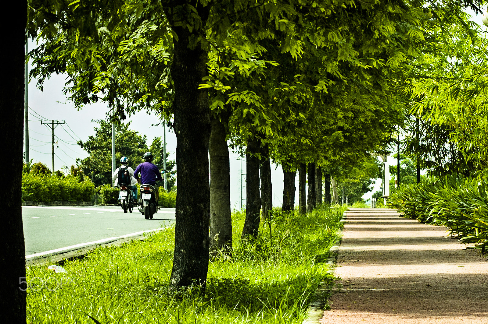 AF Zoom-Nikkor 35-70mm f/3.3-4.5 sample photo. Green way with long shadow cast photography