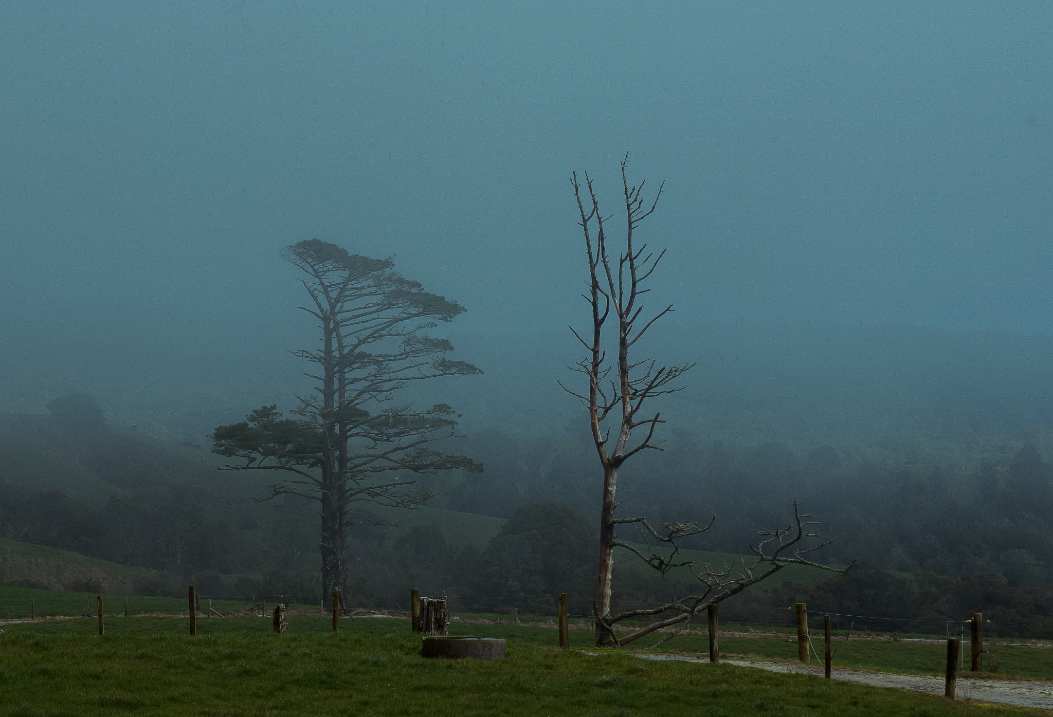 Pentax *ist DL sample photo. Foggy morning photography