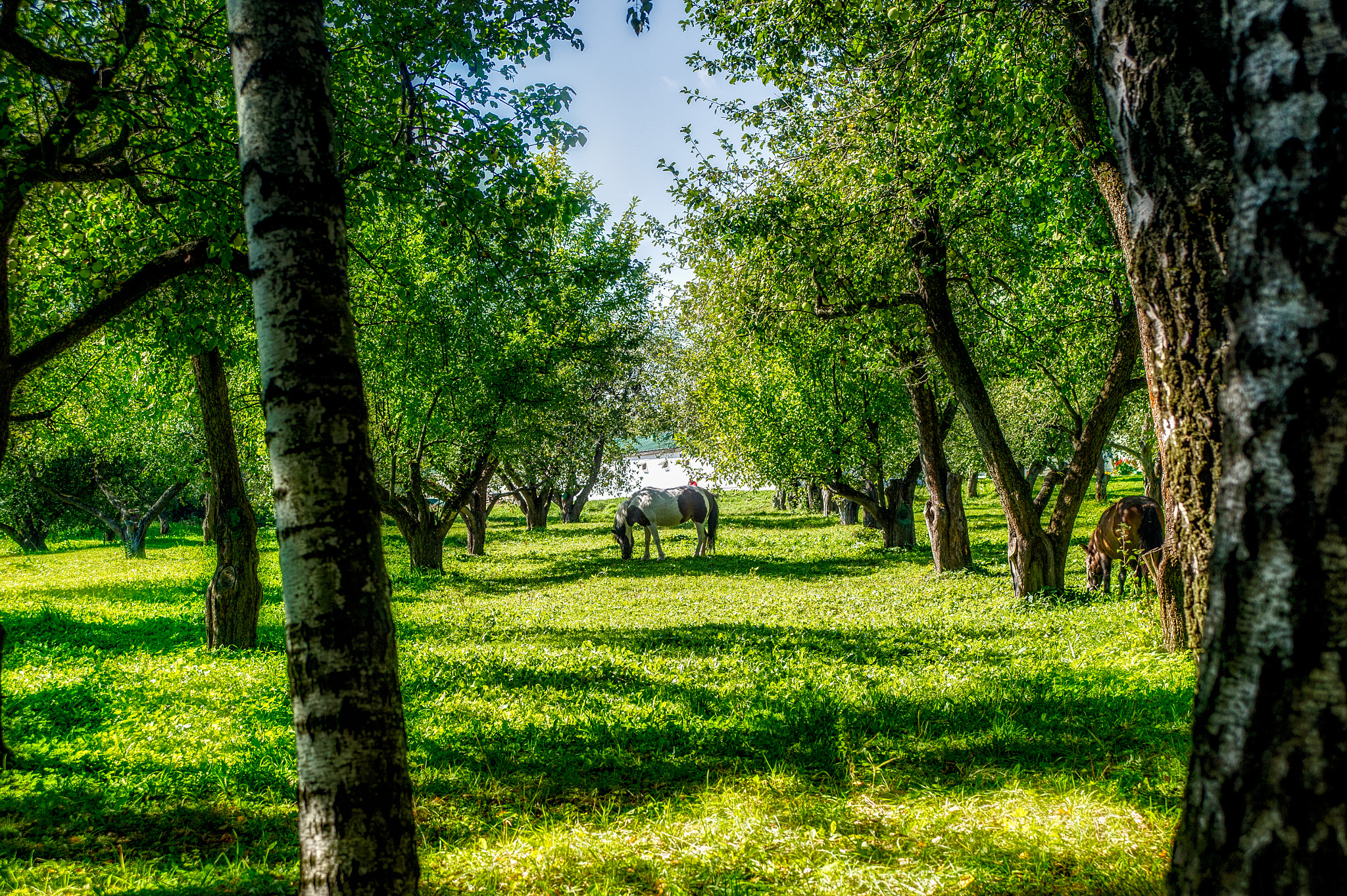 AF Zoom-Nikkor 35-70mm f/3.3-4.5 sample photo. Tula aurorahdr hdr photography