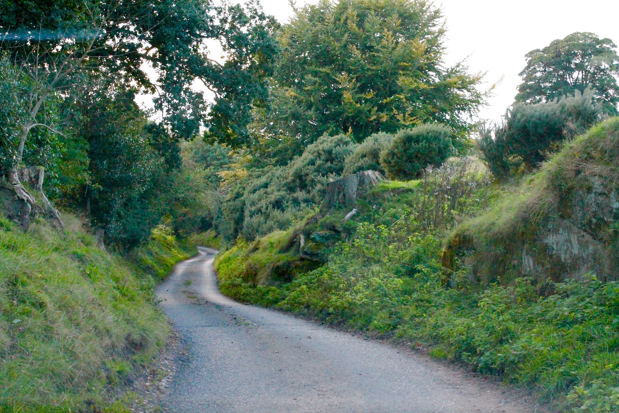 Canon EF-S 18-55mm F3.5-5.6 III sample photo. Country road in staffordshire photography