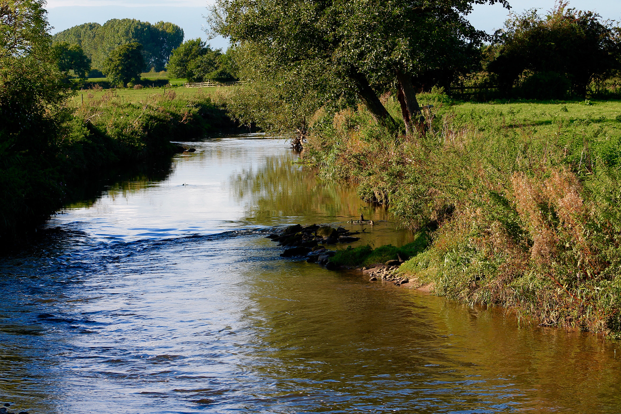 Canon EF75-300mm f/4-5.6 sample photo. River trent accelerating through a small dip on riverbed photography