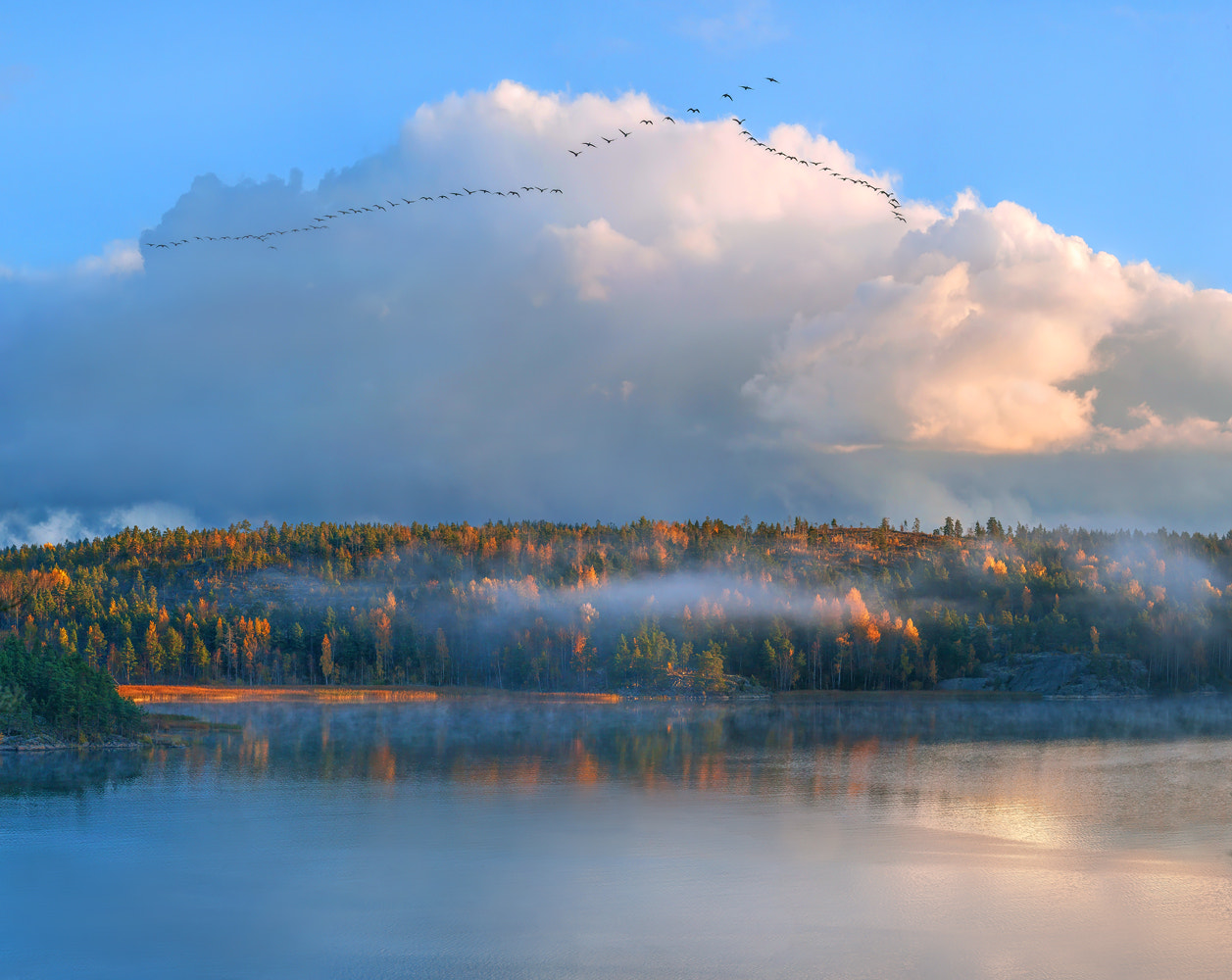 Canon EOS 5D Mark II sample photo. Autumn has come. photography