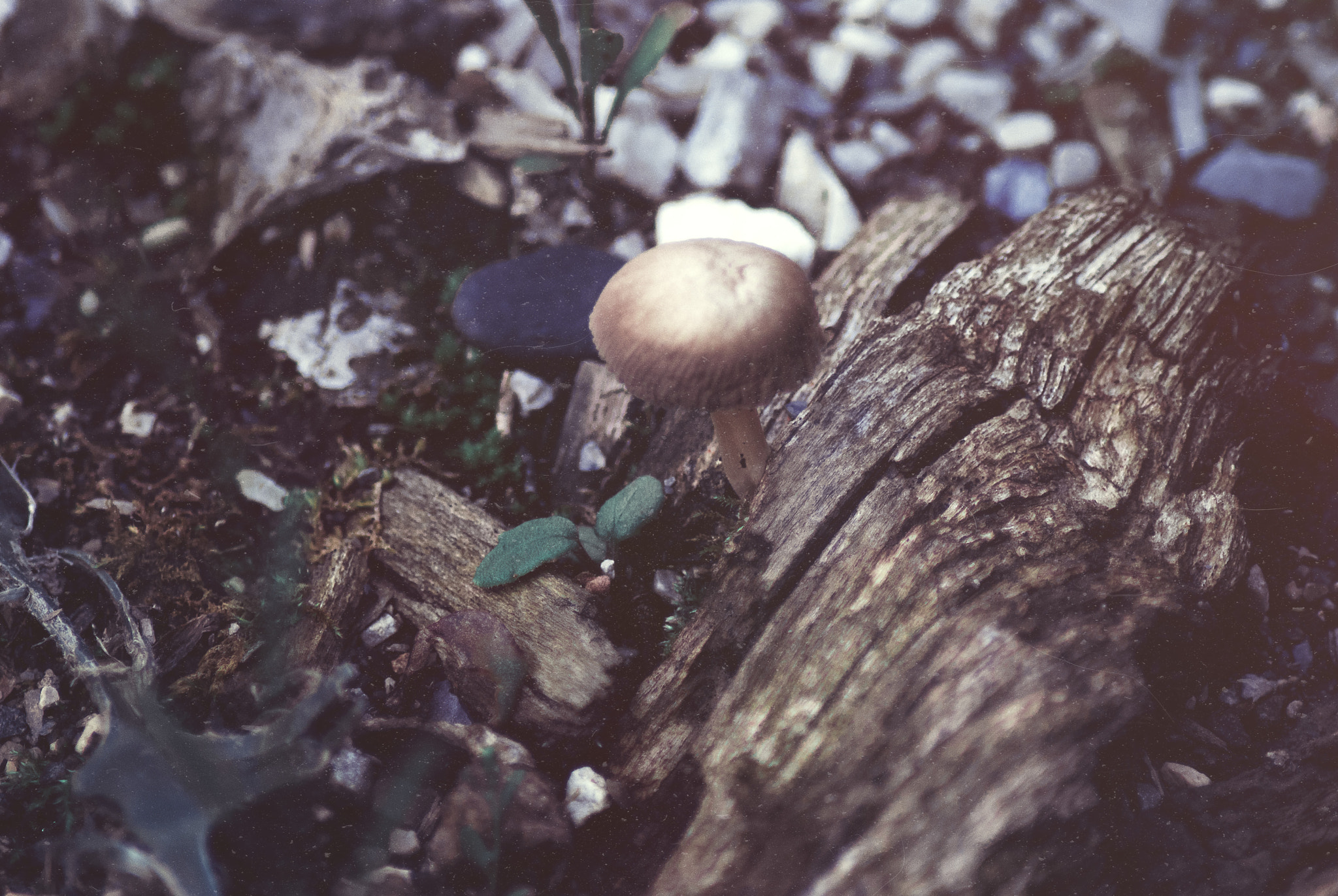 Nikon D3000 sample photo. Vintage photography
