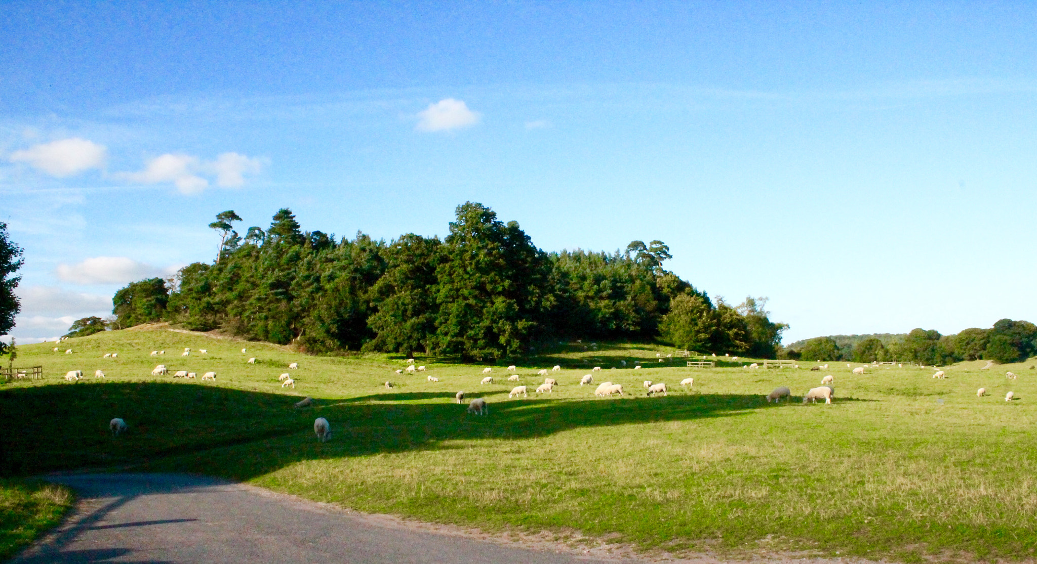 Canon EOS 1100D (EOS Rebel T3 / EOS Kiss X50) + Canon EF-S 18-55mm F3.5-5.6 III sample photo. Typical english countryside setting with sheep gra ... photography