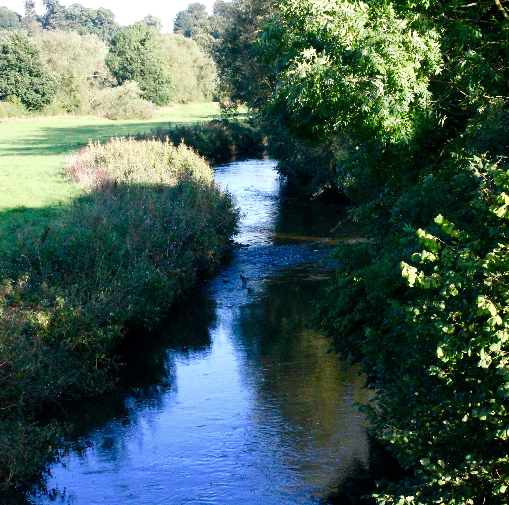 Canon EF-S 18-55mm F3.5-5.6 III sample photo. River trent meandering through shaded tree lined passage in sandon staffordshire photography