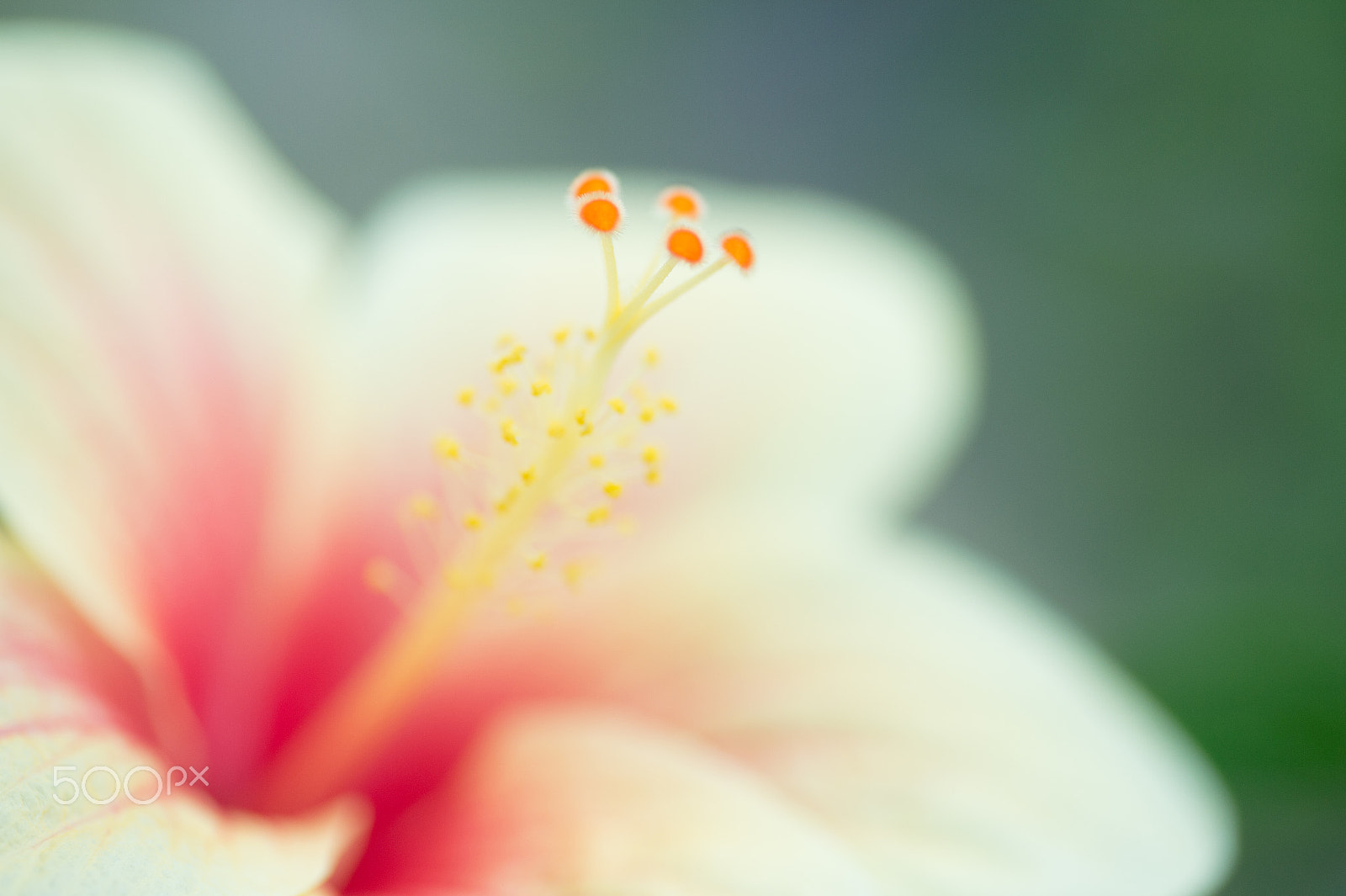 Nikon Df sample photo. Cute photography