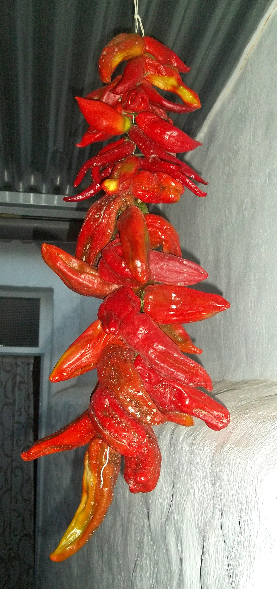 Kodak EASYSHARE M531 DIGITAL CAMERA sample photo. Peppers photography