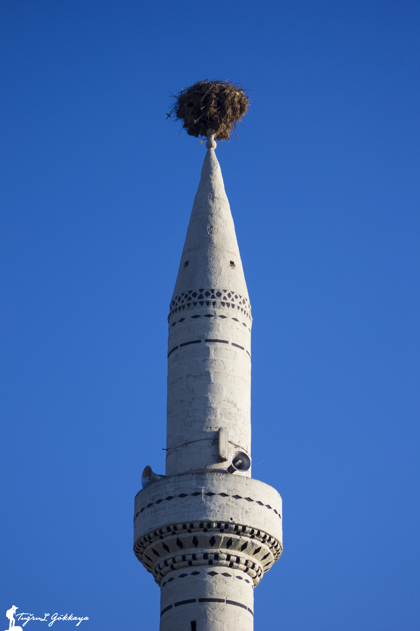 Canon EF 75-300mm f/4-5.6 USM sample photo. Img photography