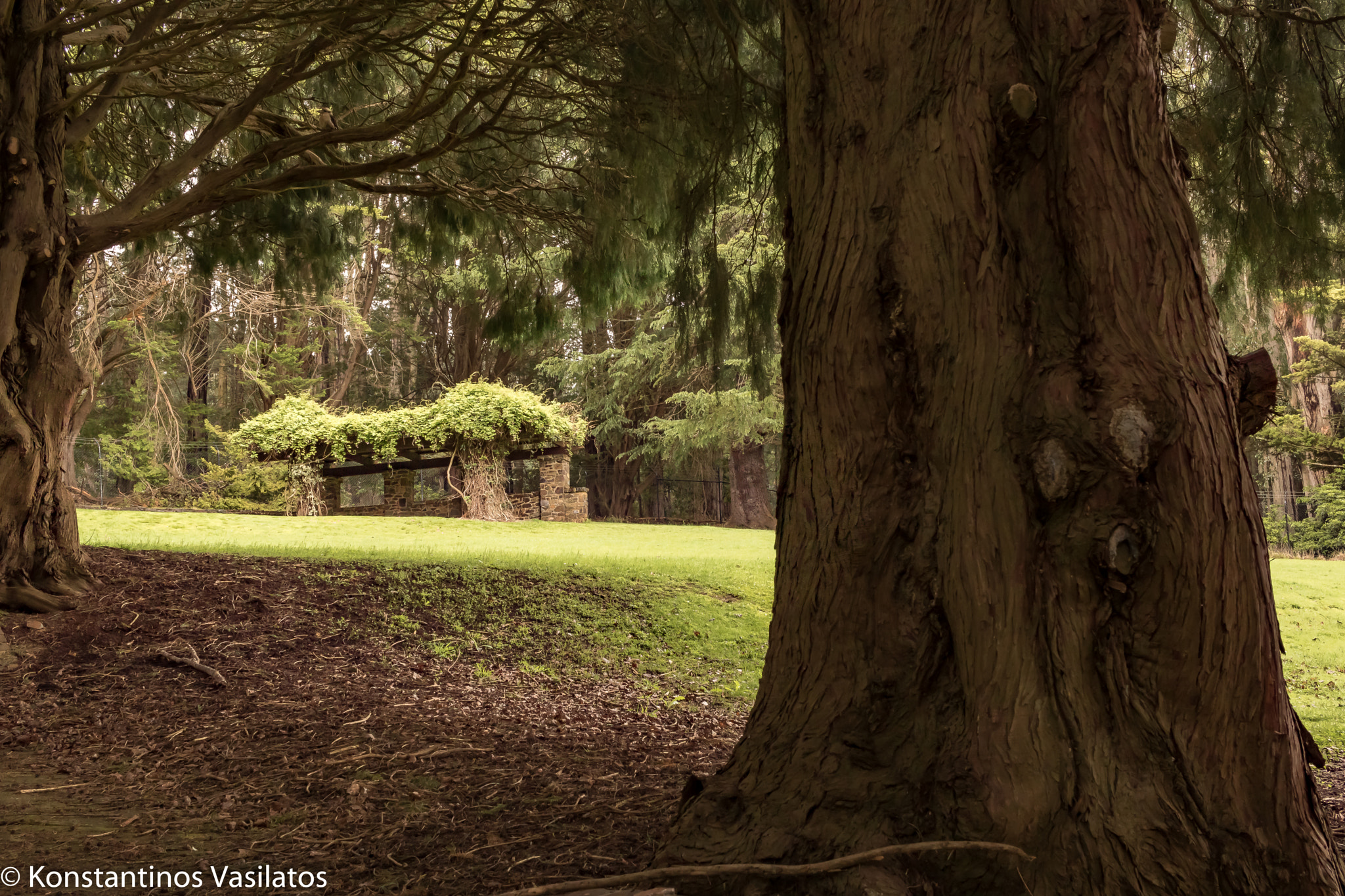 Canon EF-S 24mm F2.8 STM sample photo. Shelter photography