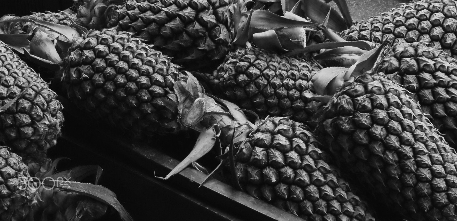 Canon EOS 100D (EOS Rebel SL1 / EOS Kiss X7) + Canon EF-S 24mm F2.8 STM sample photo. Pineapple@joo chiat rd photography