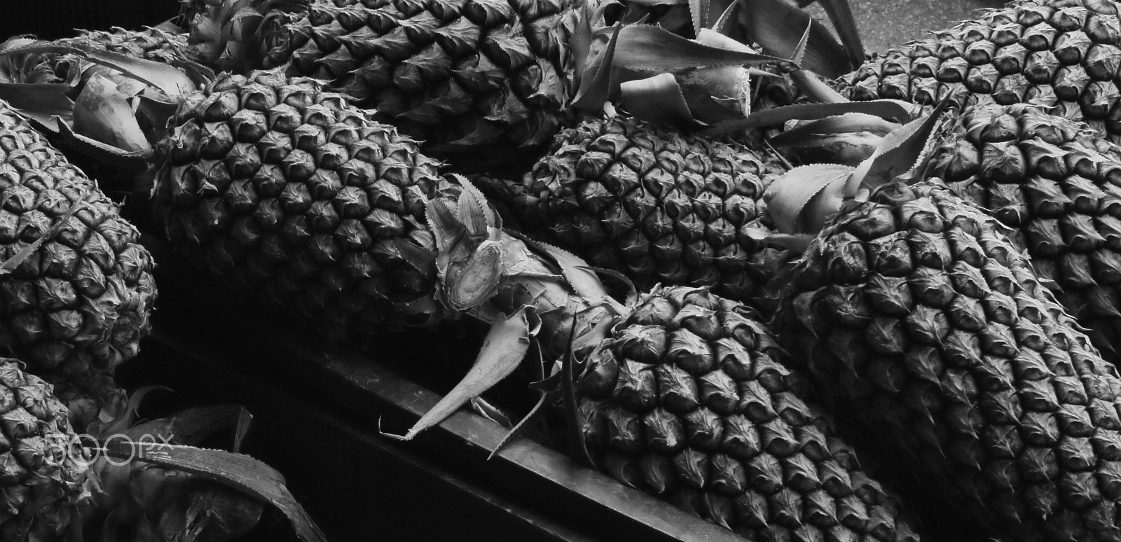 Canon EOS 100D (EOS Rebel SL1 / EOS Kiss X7) sample photo. Pineapple@joo chiat rd photography