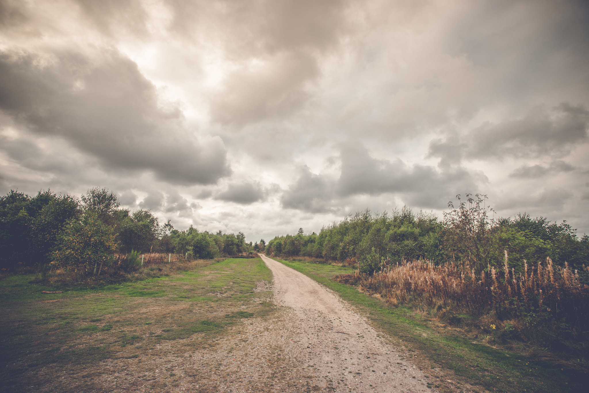 Sony Alpha DSLR-A900 + Sony Vario-Sonnar T* 16-35mm F2.8 ZA SSM sample photo. Long nature trail in cloudy weather photography