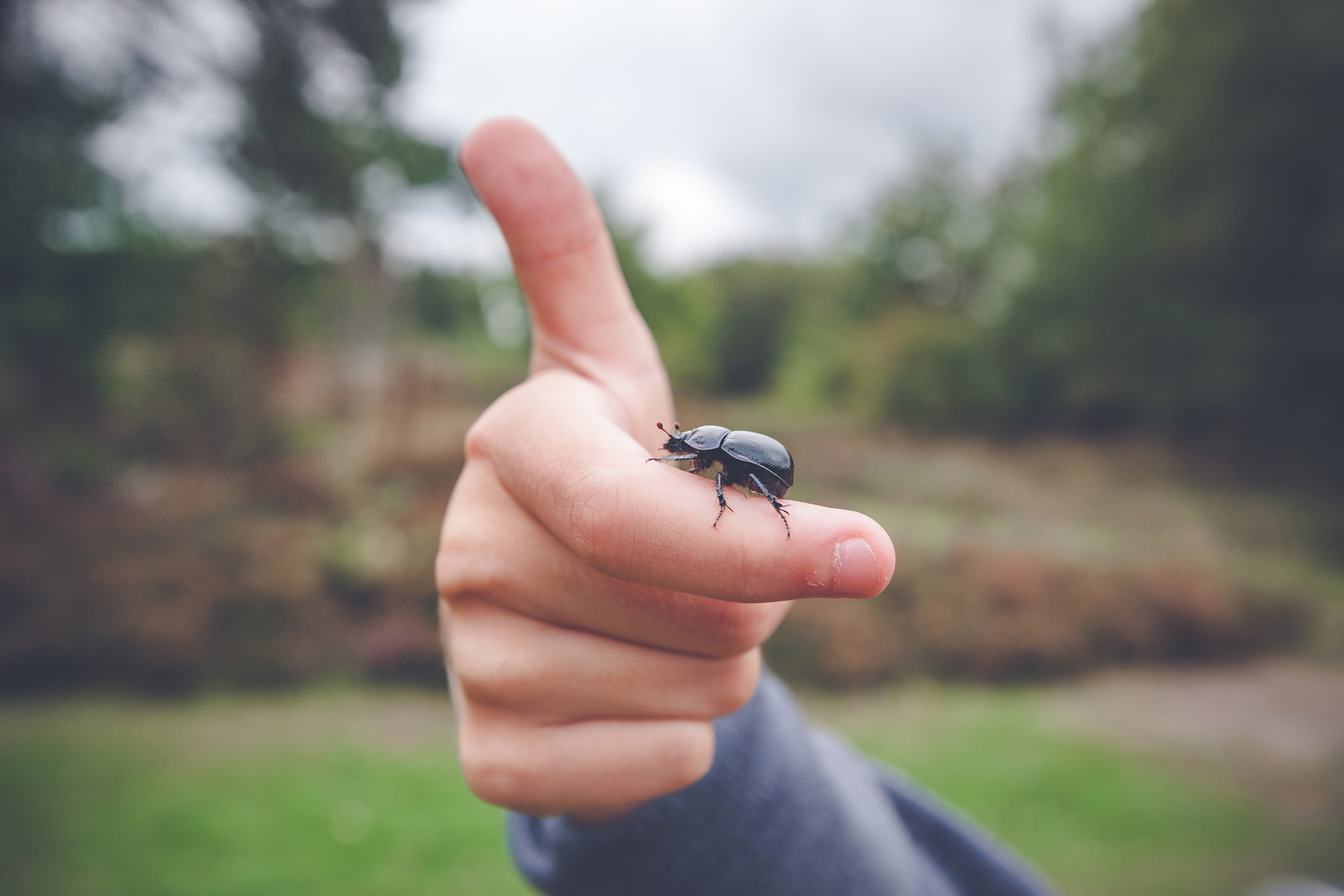 Sony Alpha DSLR-A900 sample photo. Beetle on a hand giving thumbs up photography