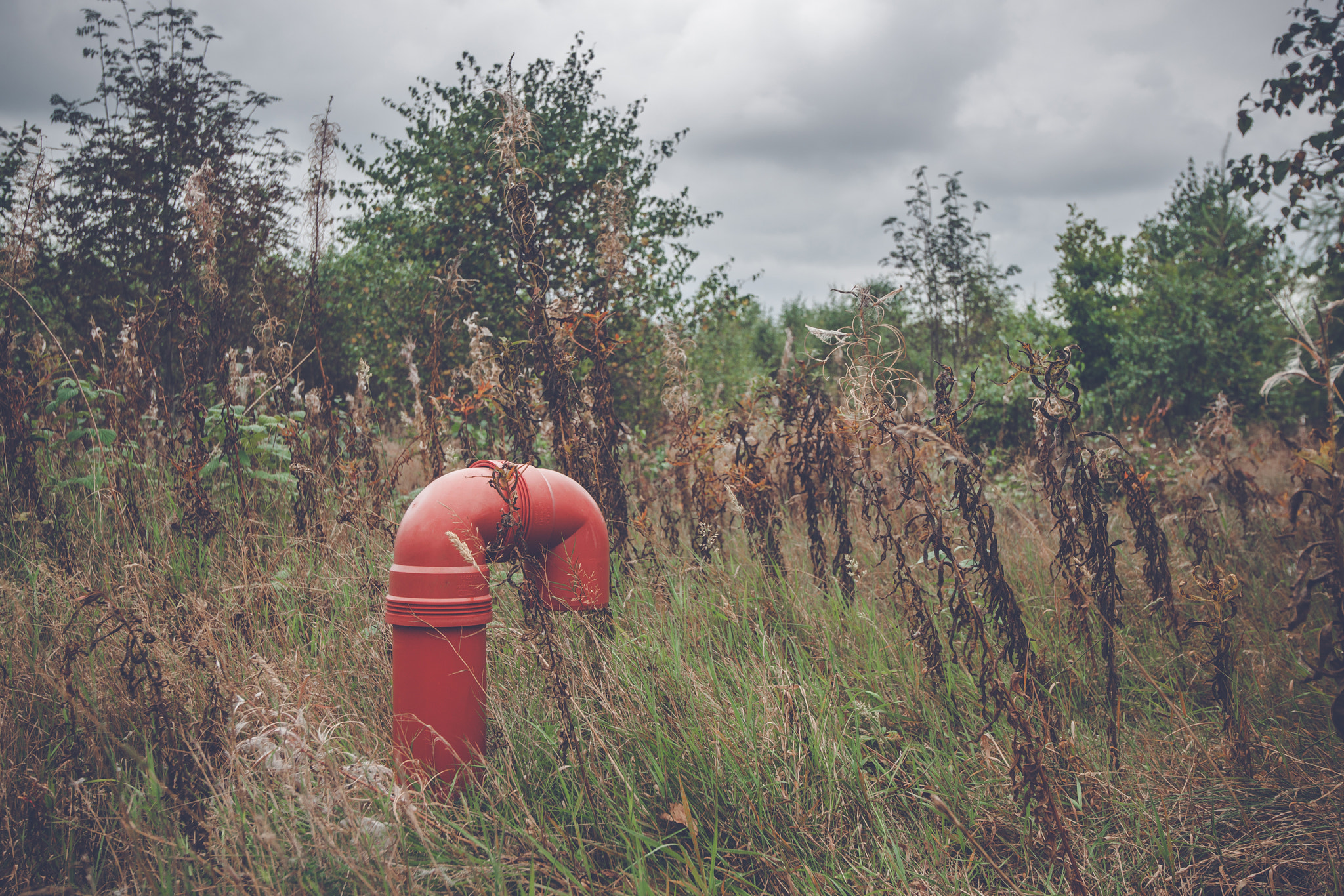 Sony Alpha DSLR-A900 sample photo. Red pipeline on a rural meadow photography