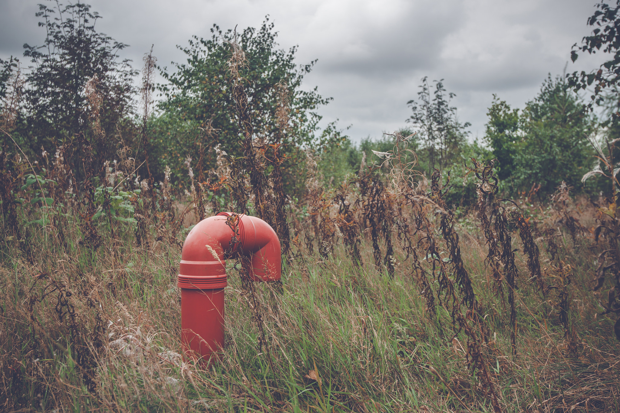 Sony Alpha DSLR-A900 + Sony Vario-Sonnar T* 16-35mm F2.8 ZA SSM sample photo. Red pipeline on a rural meadow photography