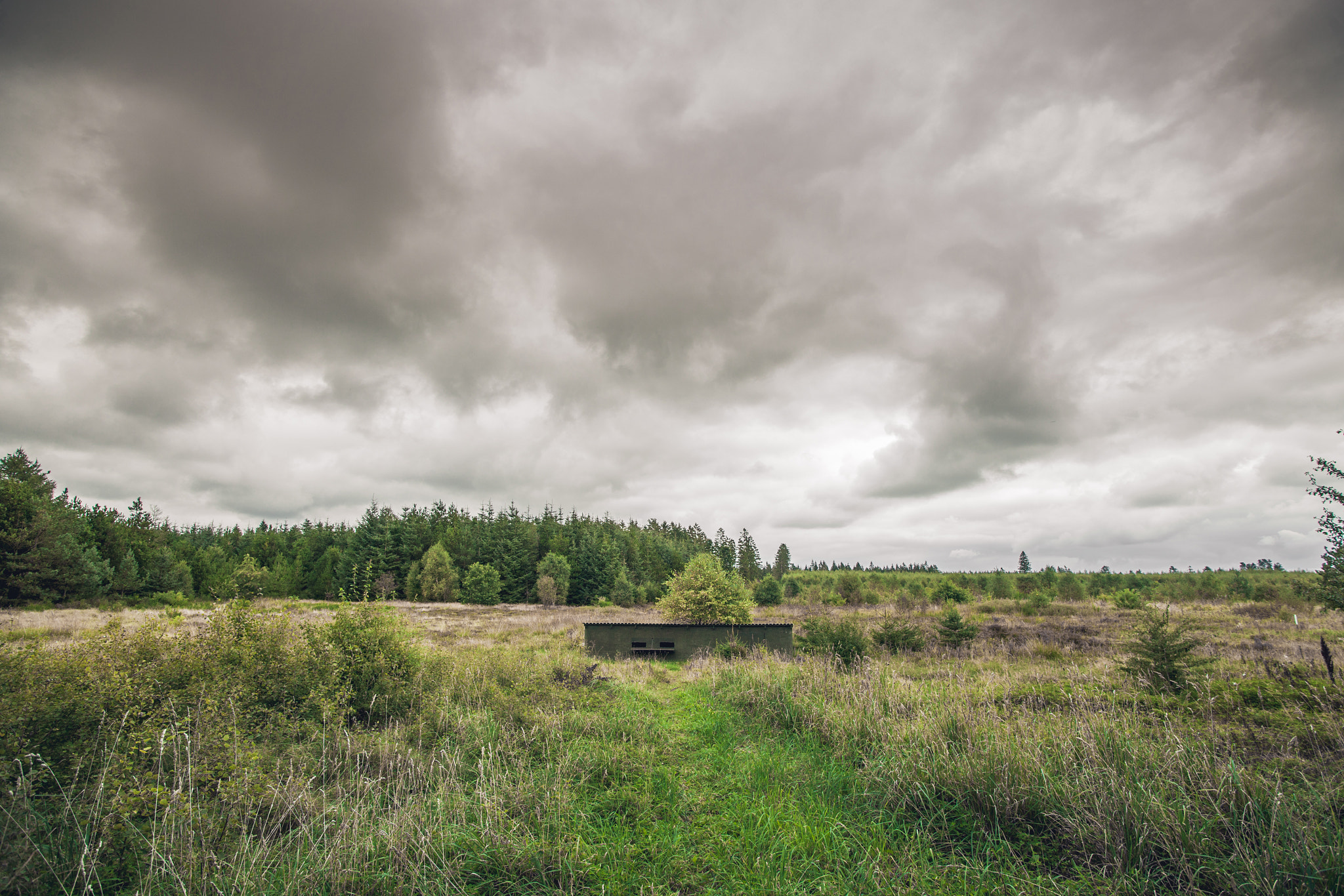 Sony Alpha DSLR-A900 + Sony Vario-Sonnar T* 16-35mm F2.8 ZA SSM sample photo. Small bunker in a military terrain photography